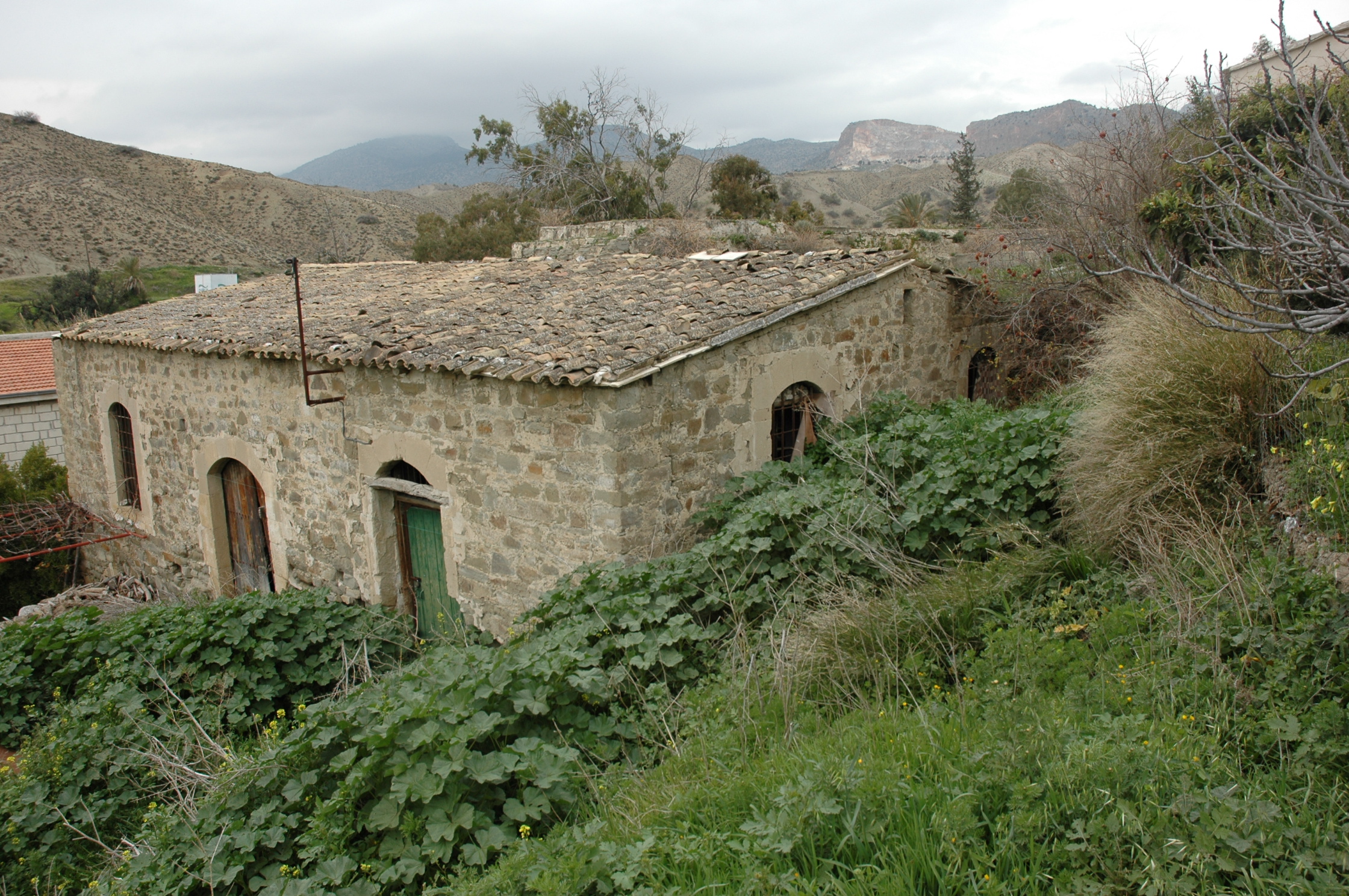 Image Description