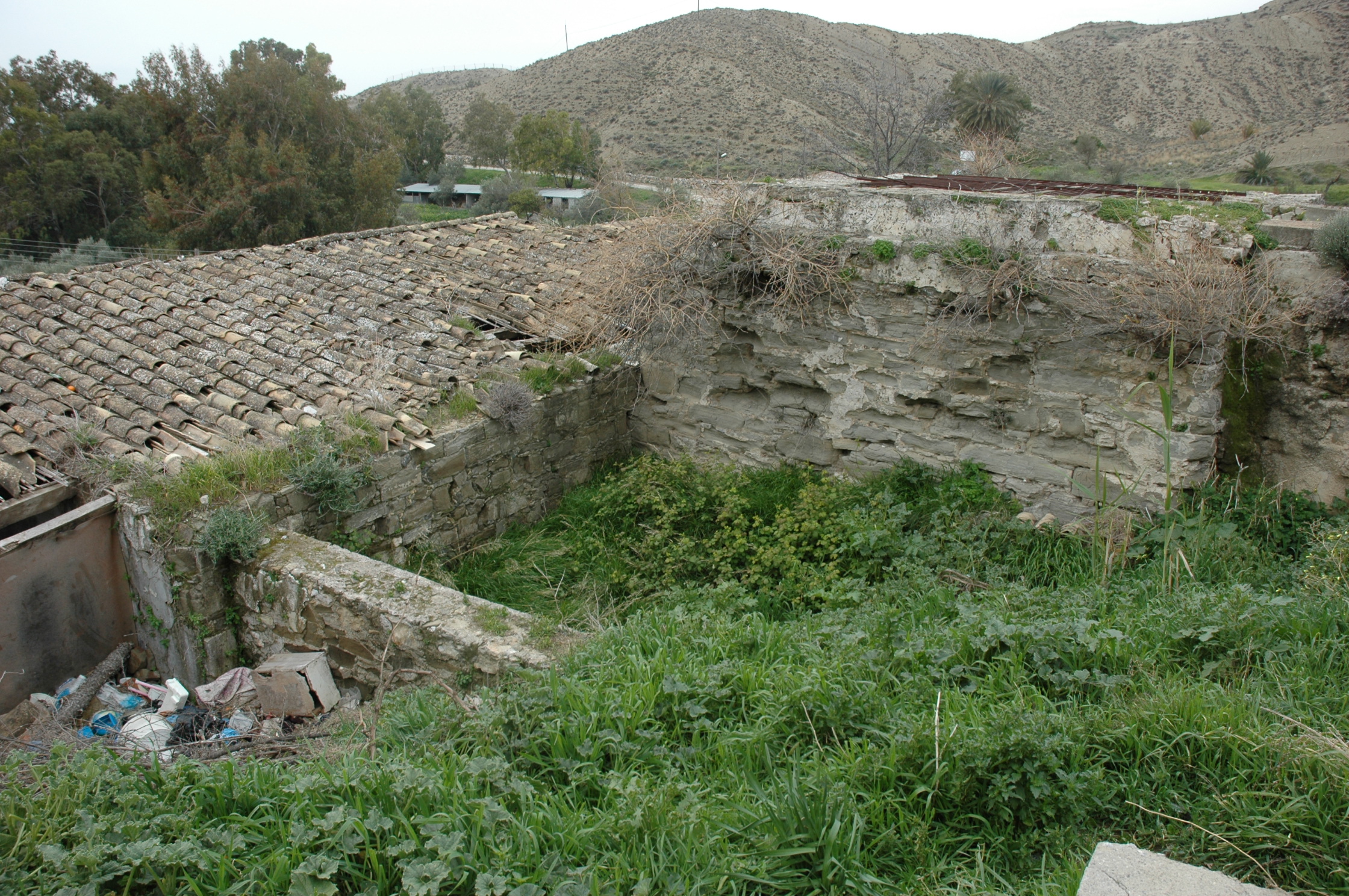 Image Description