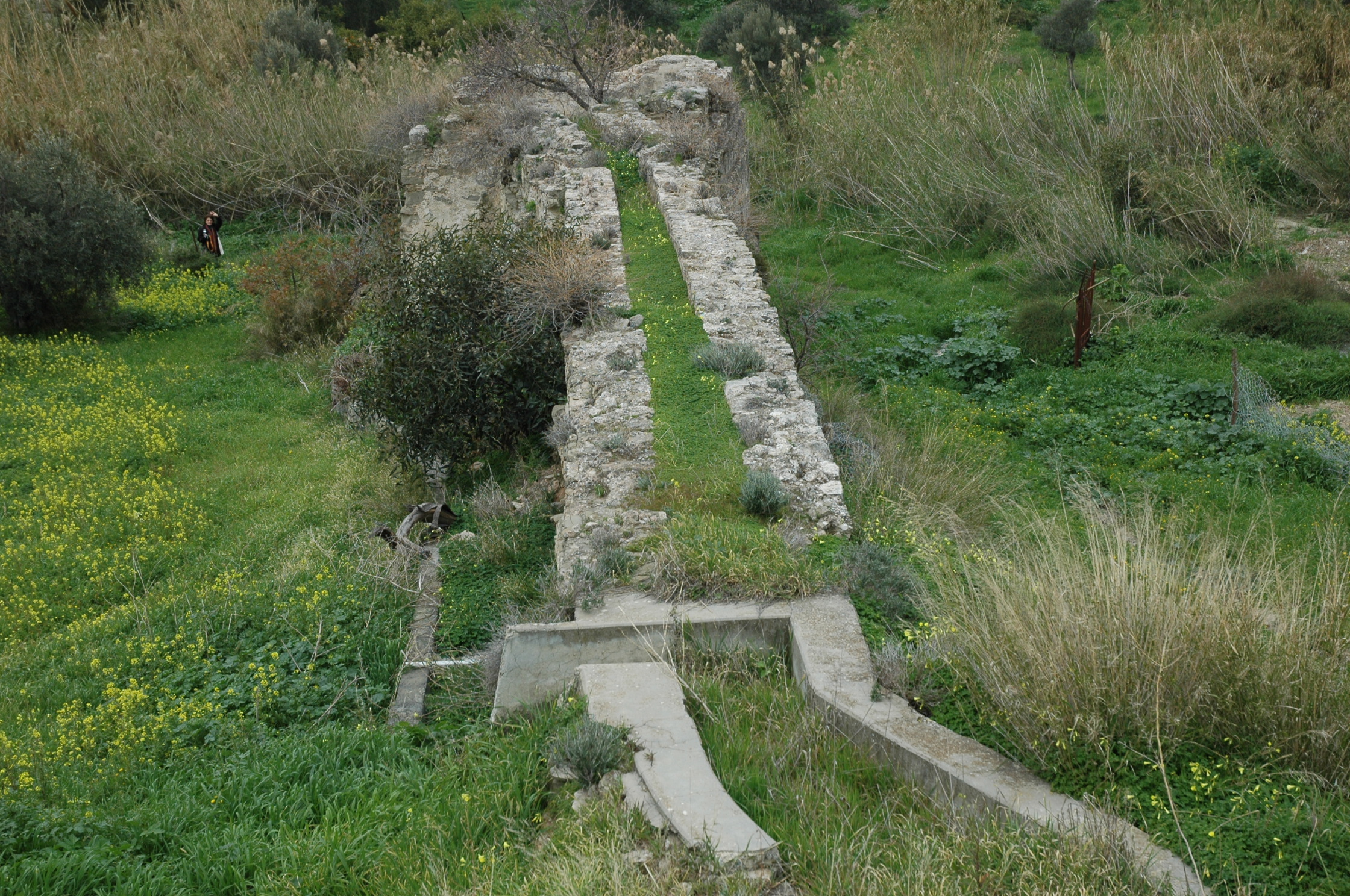 Image Description