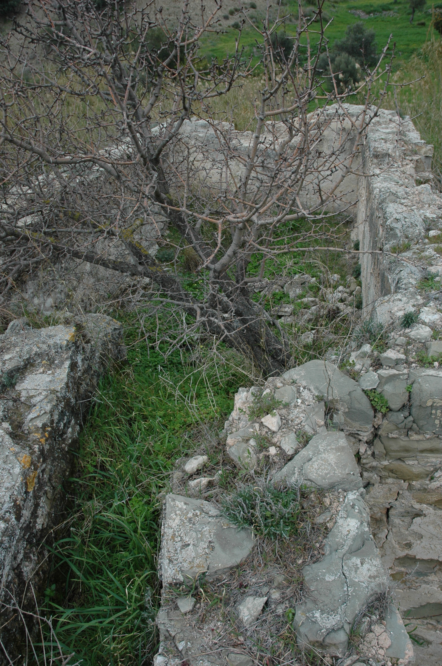 Image Description