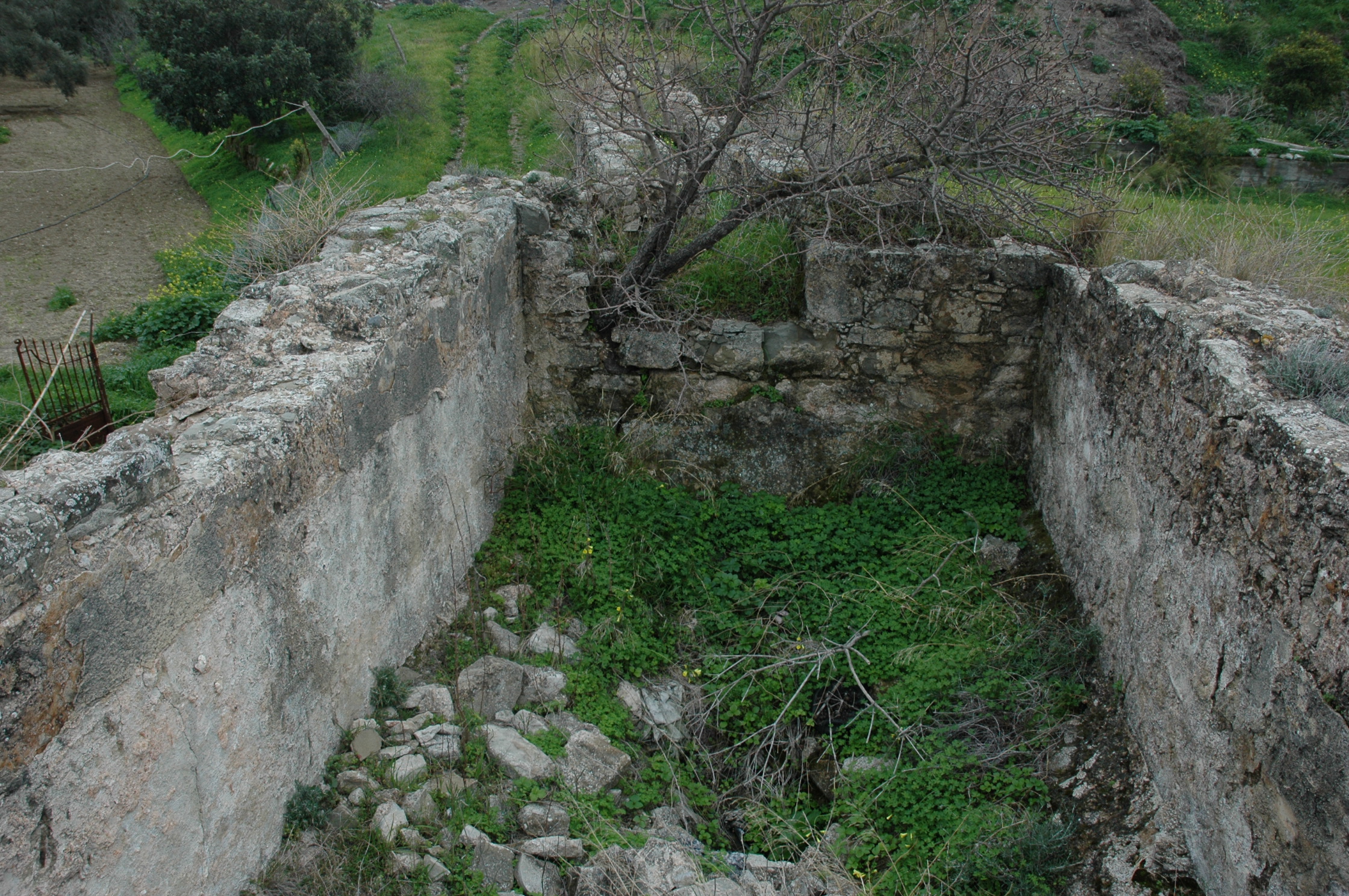 Image Description