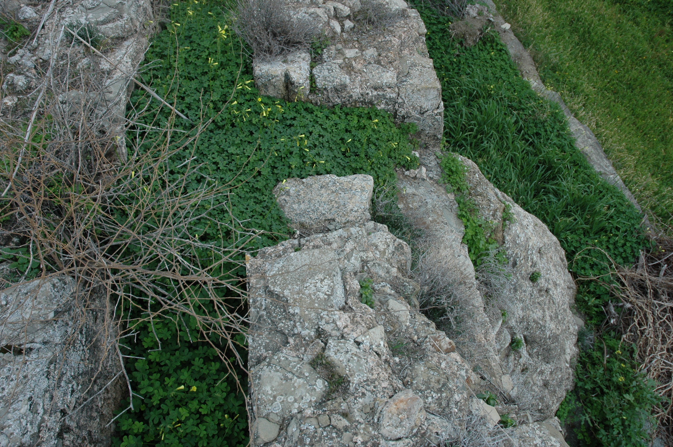 Image Description