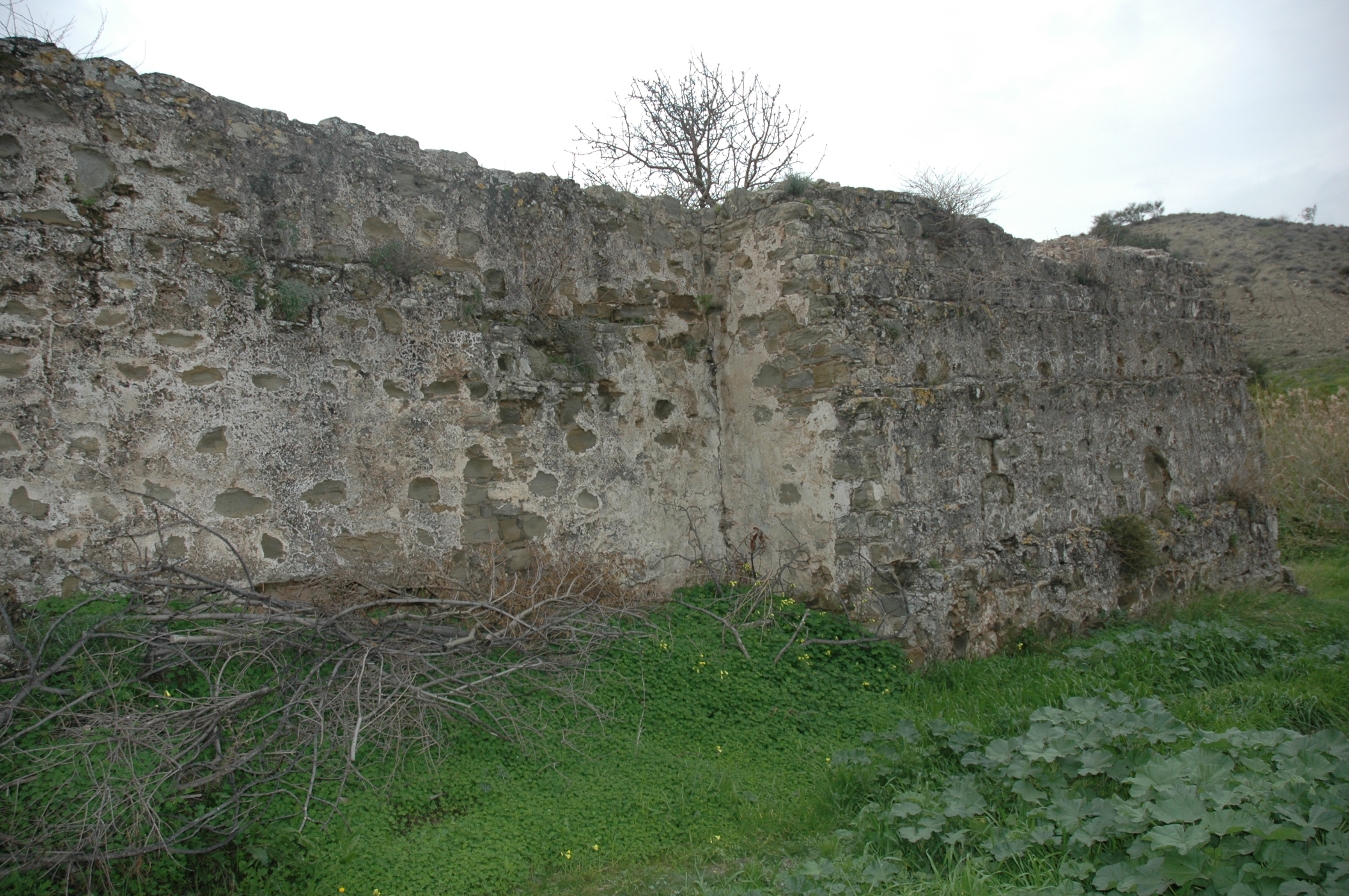 Image Description