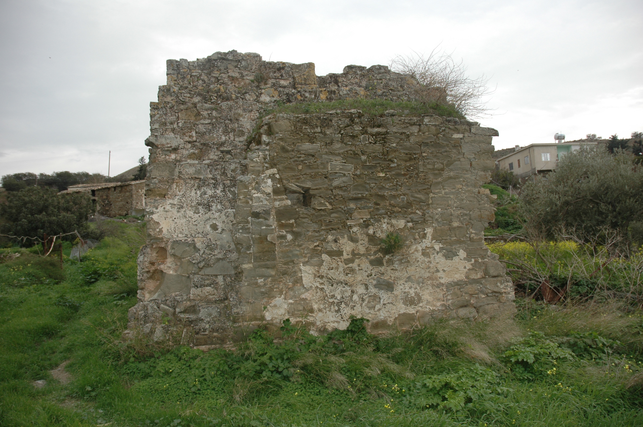 Image Description
