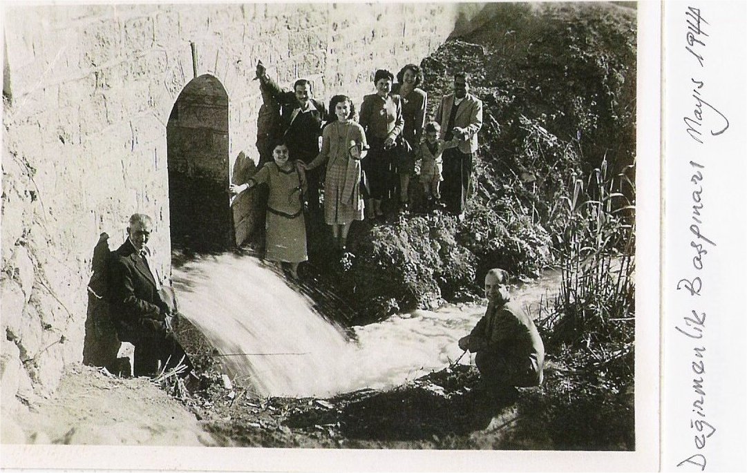 Image Description