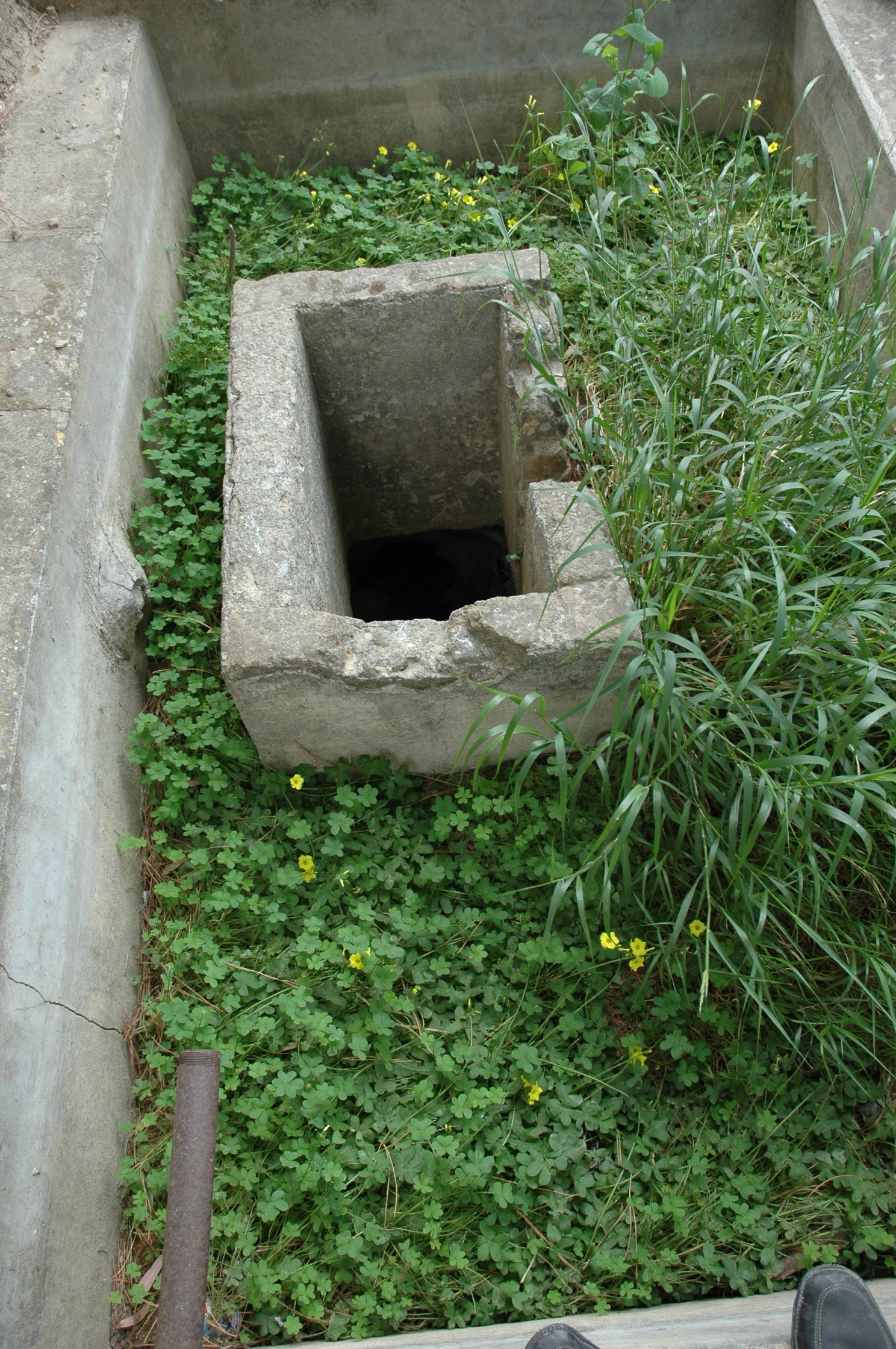 Image Description