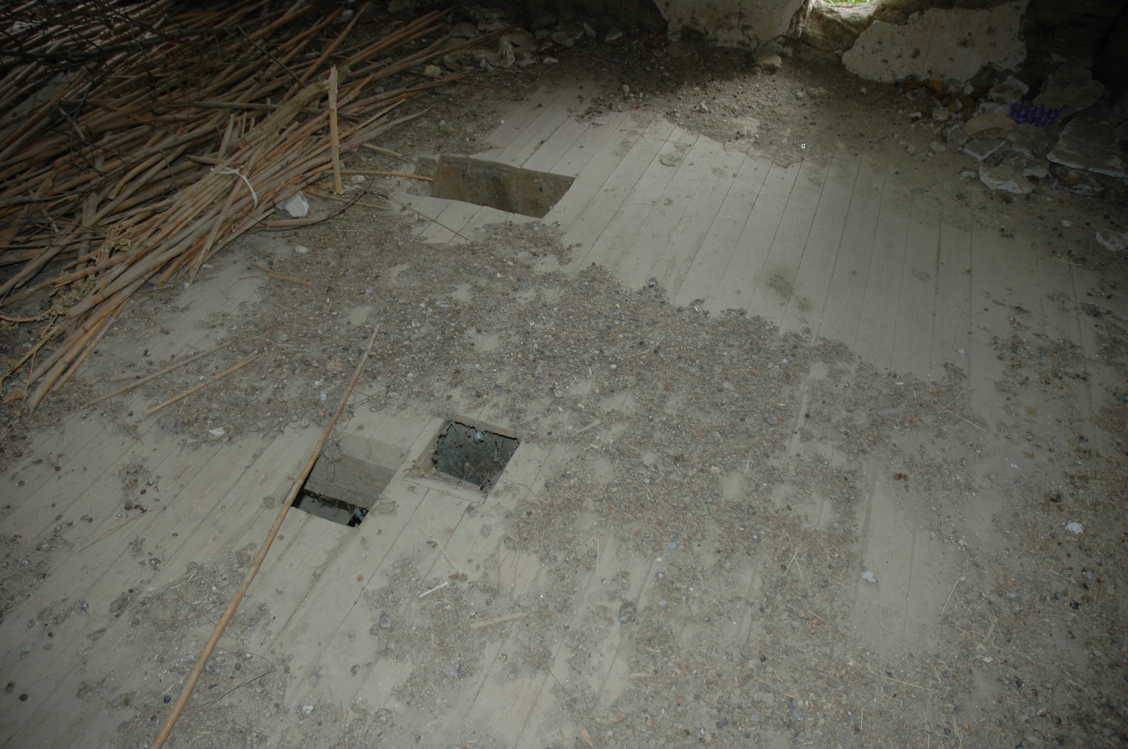 Image Description