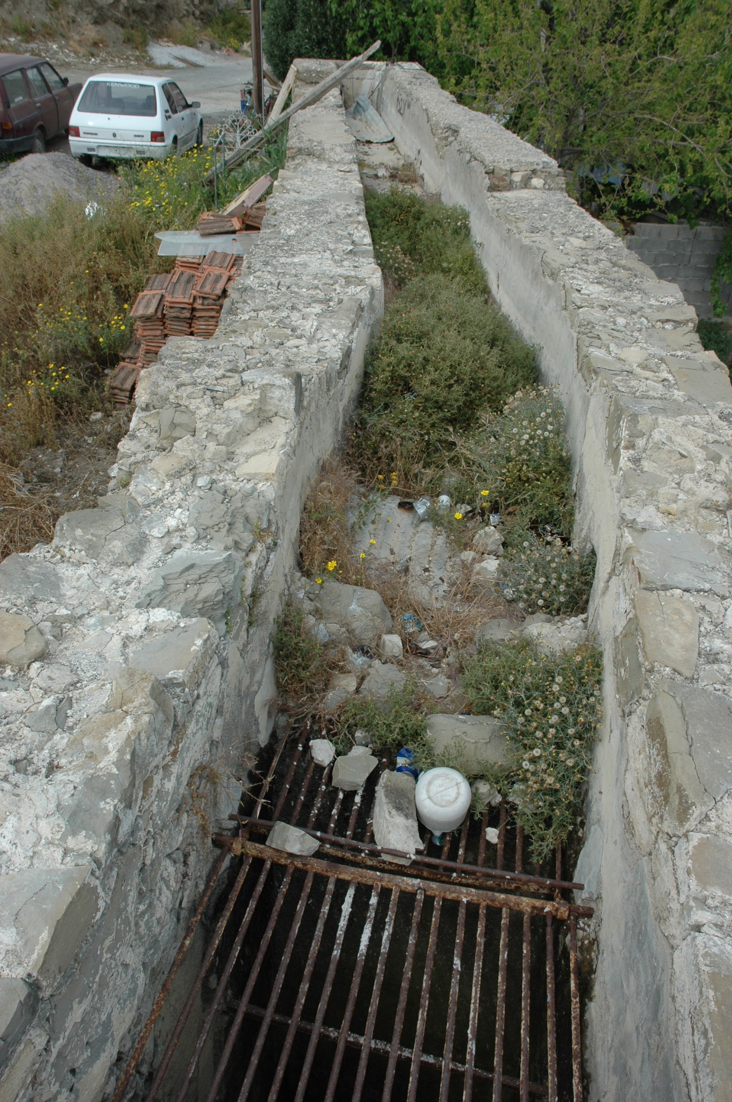 Image Description