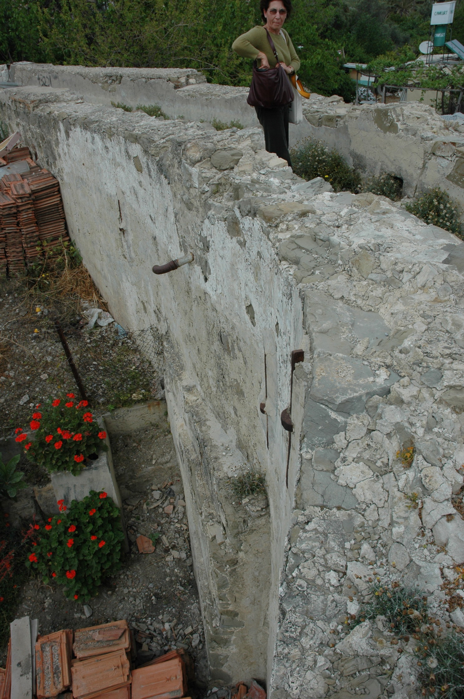Image Description
