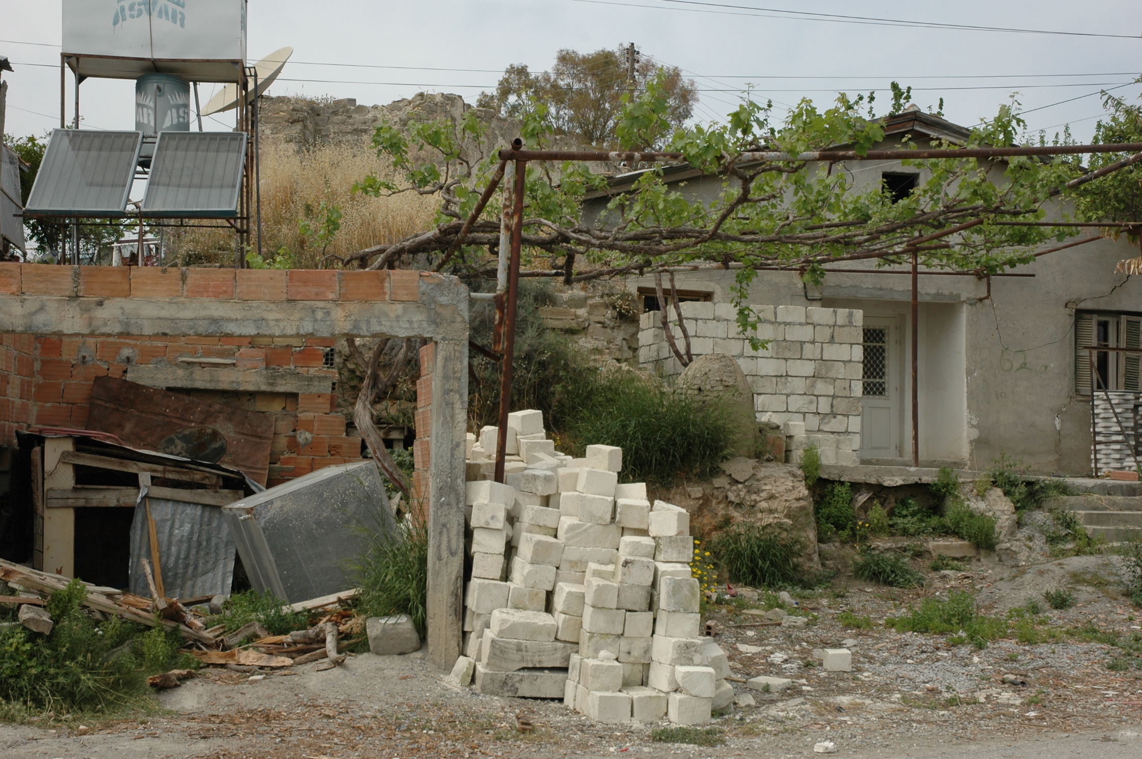 Image Description