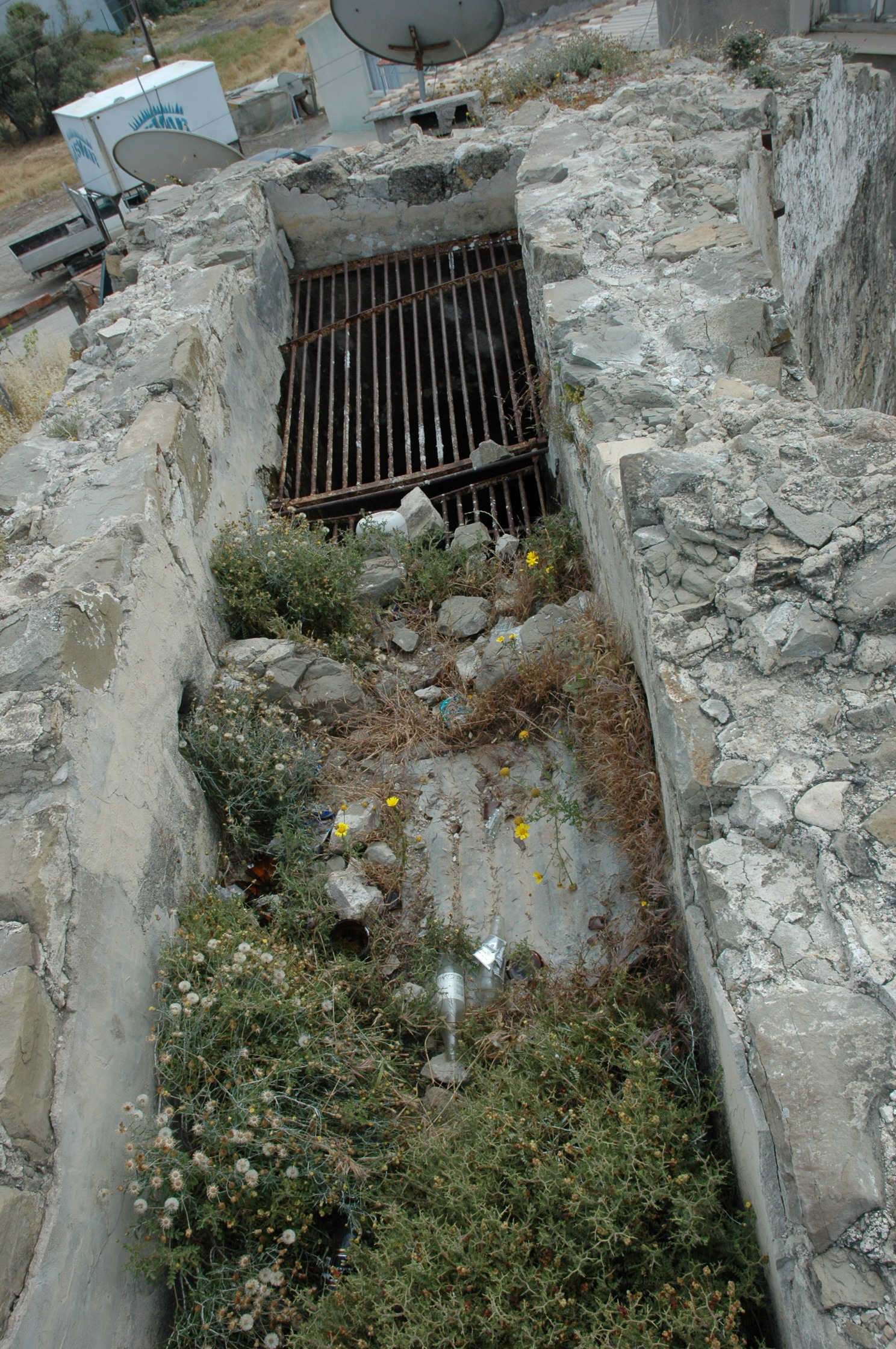 Image Description