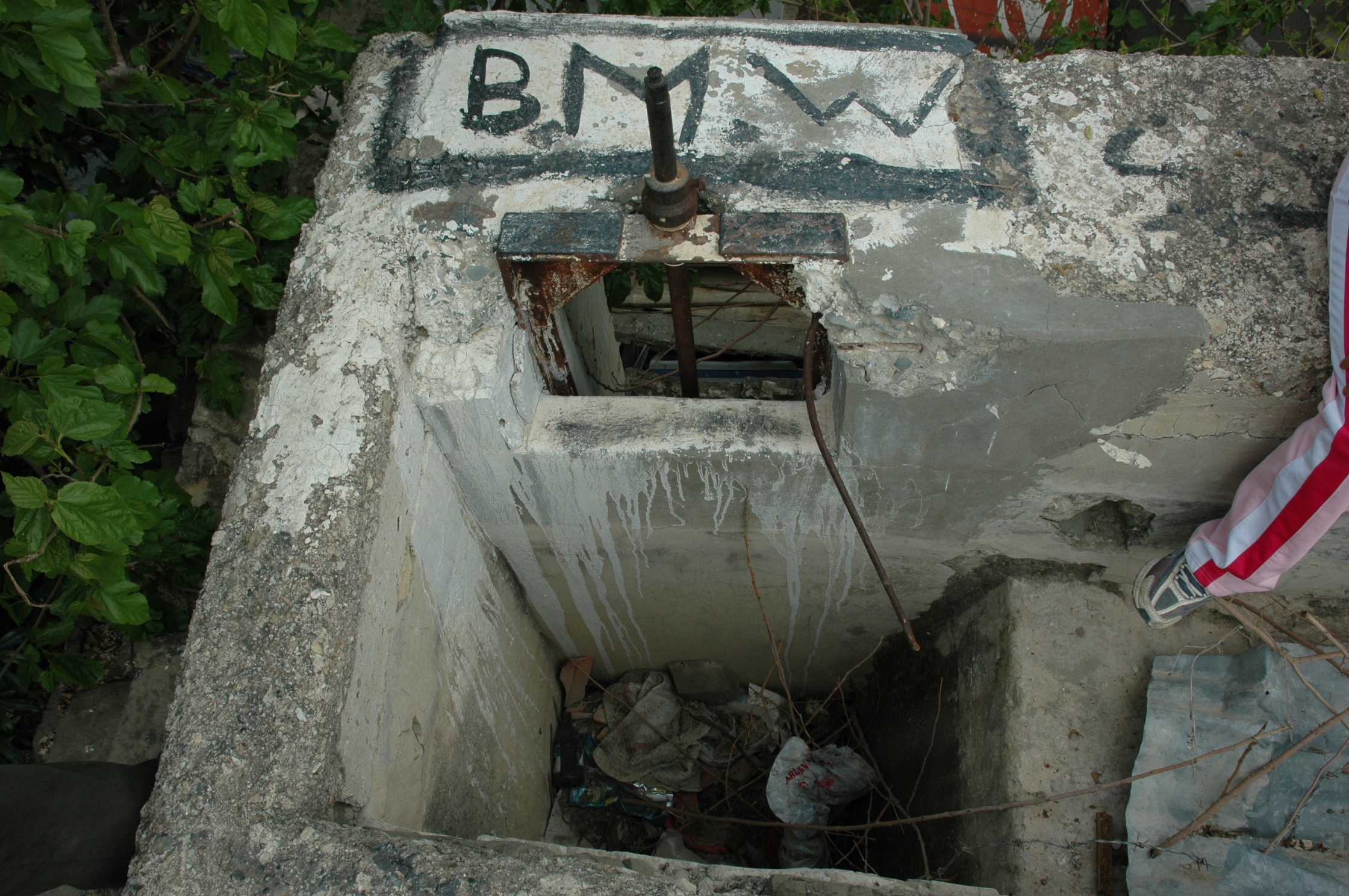 Image Description