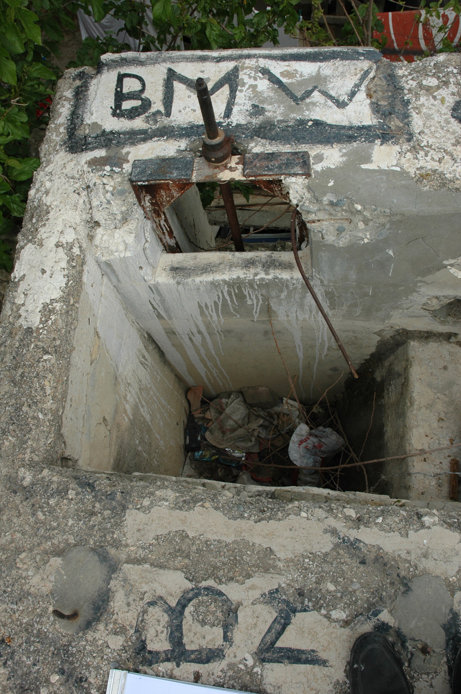 Image Description