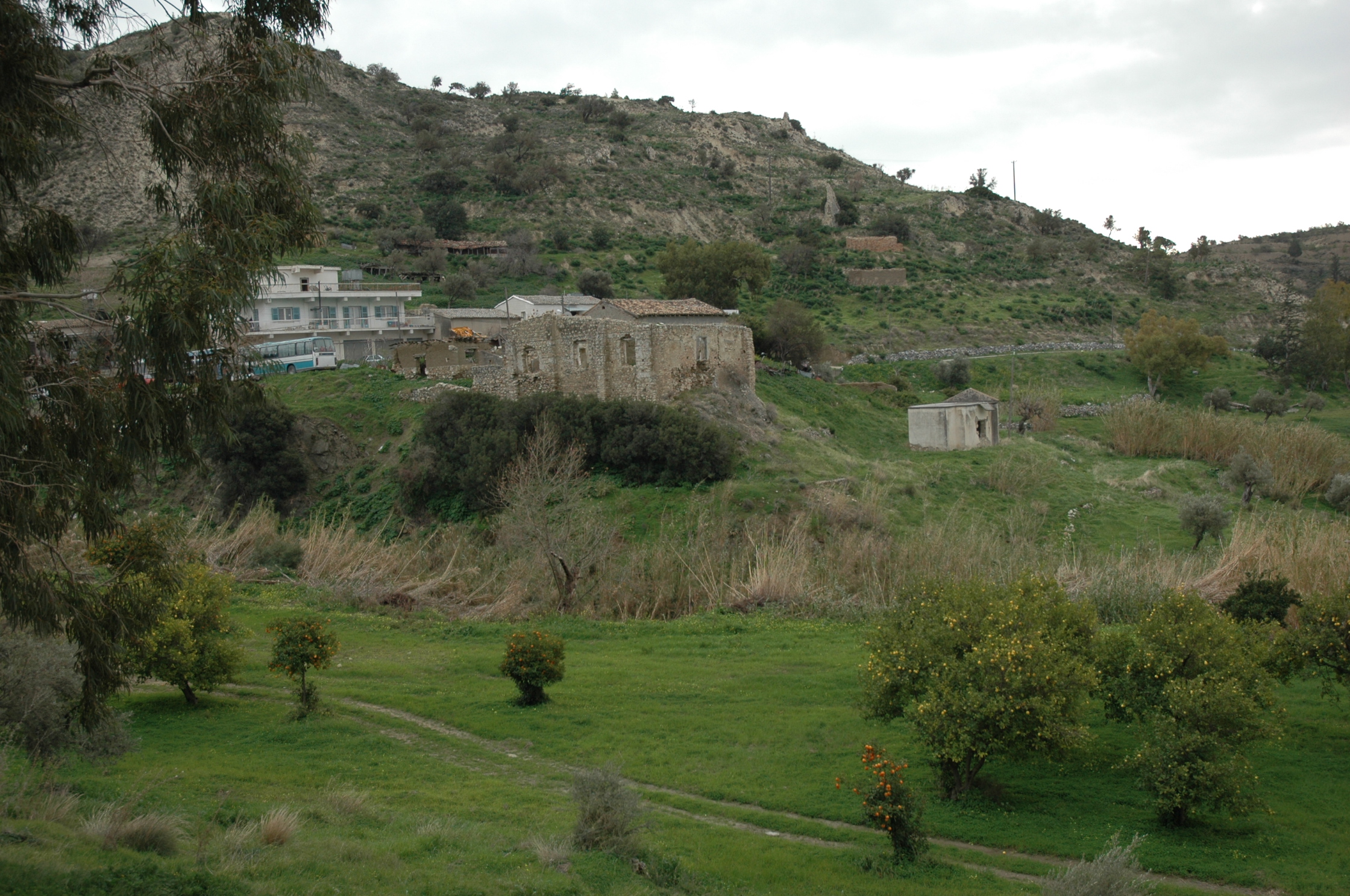 Image Description