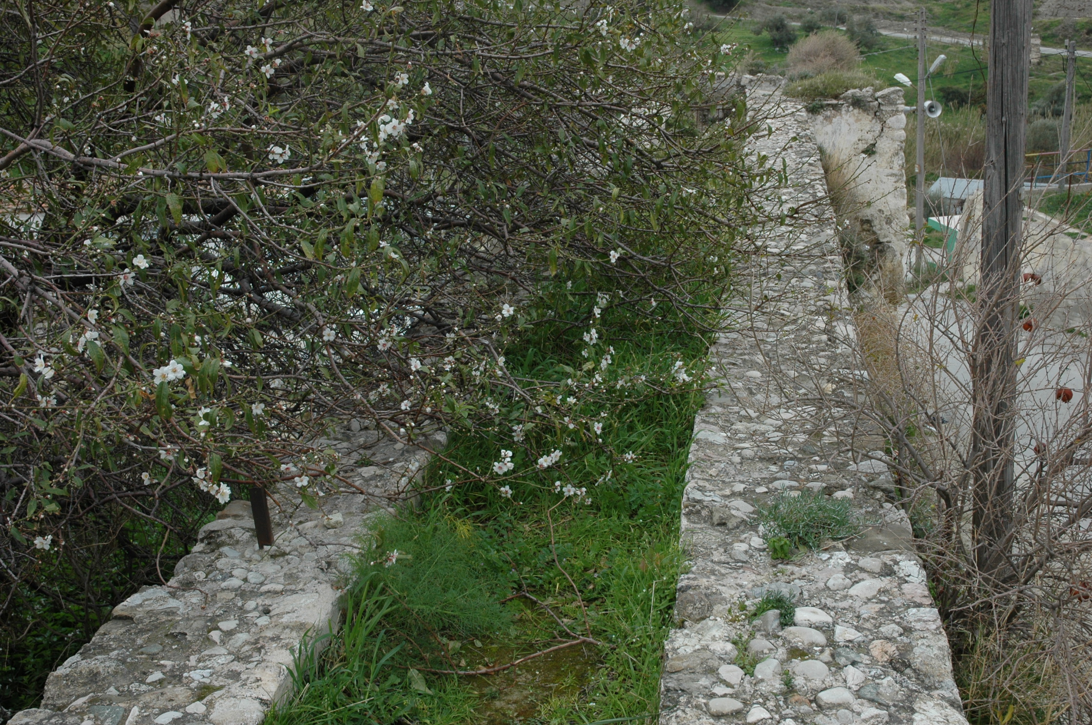 Image Description
