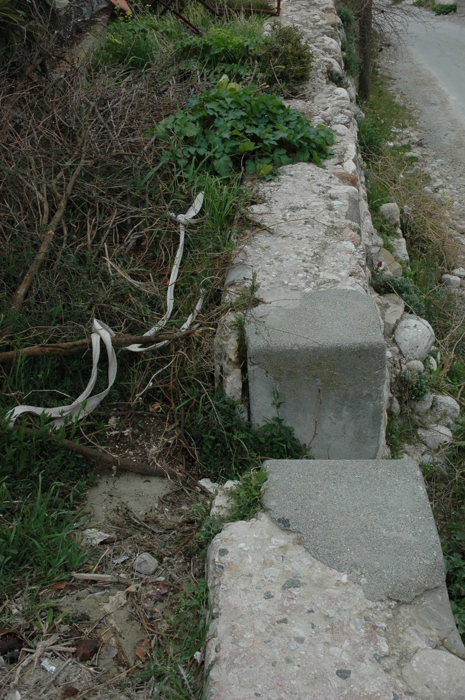 Image Description