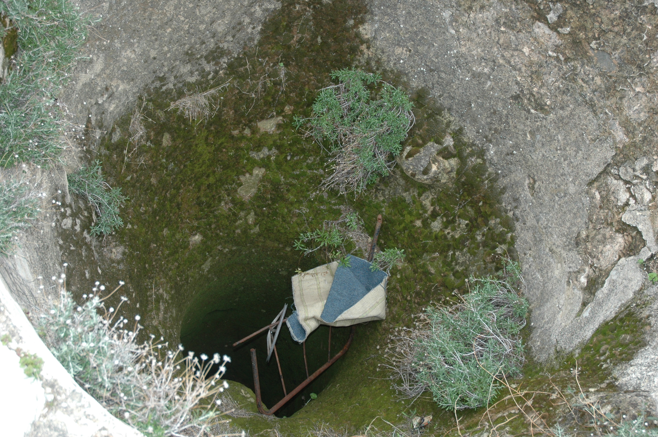 Image Description