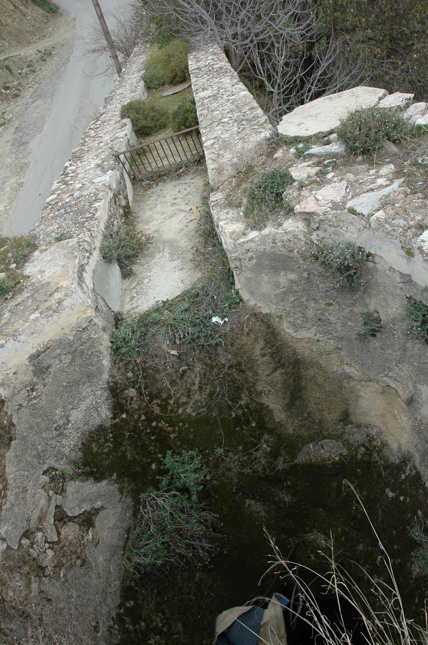 Image Description