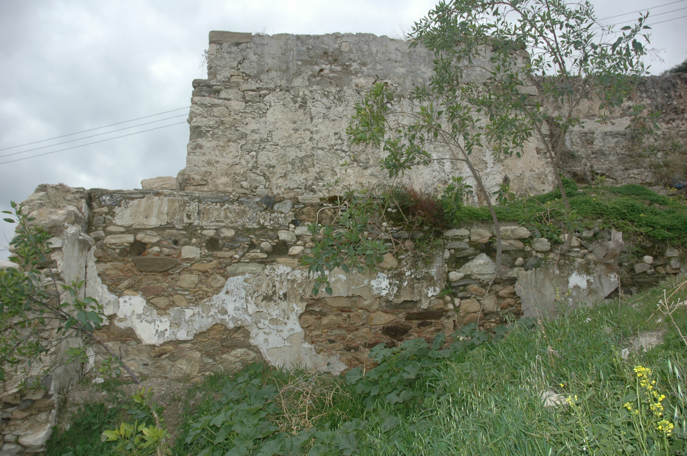 Image Description