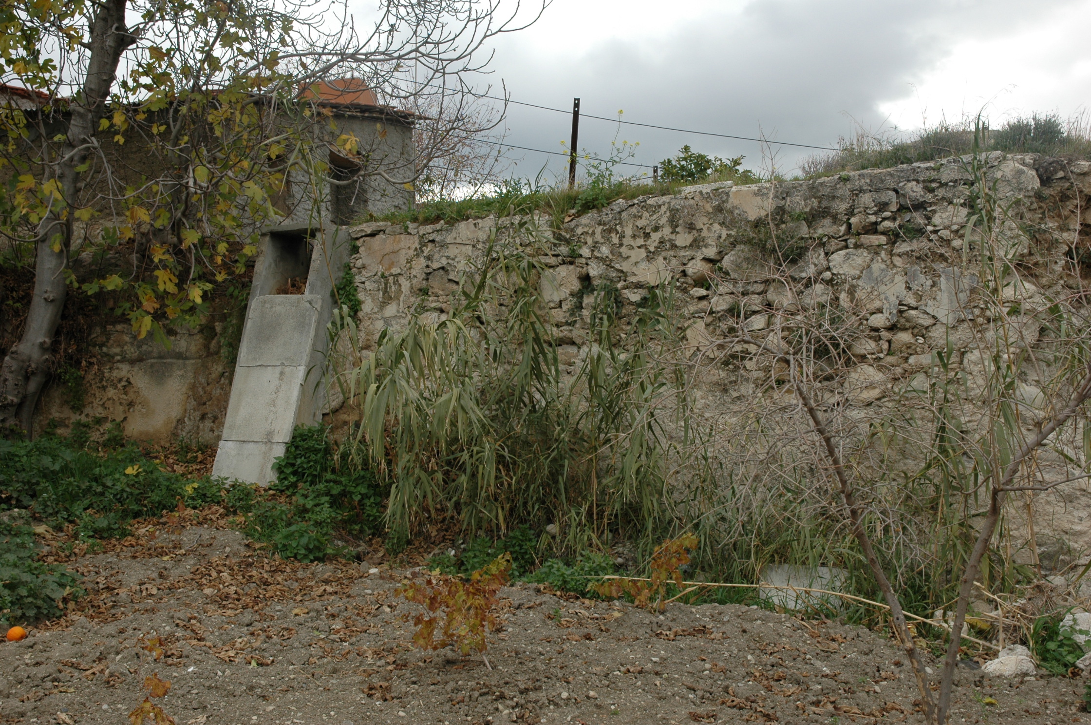 Image Description