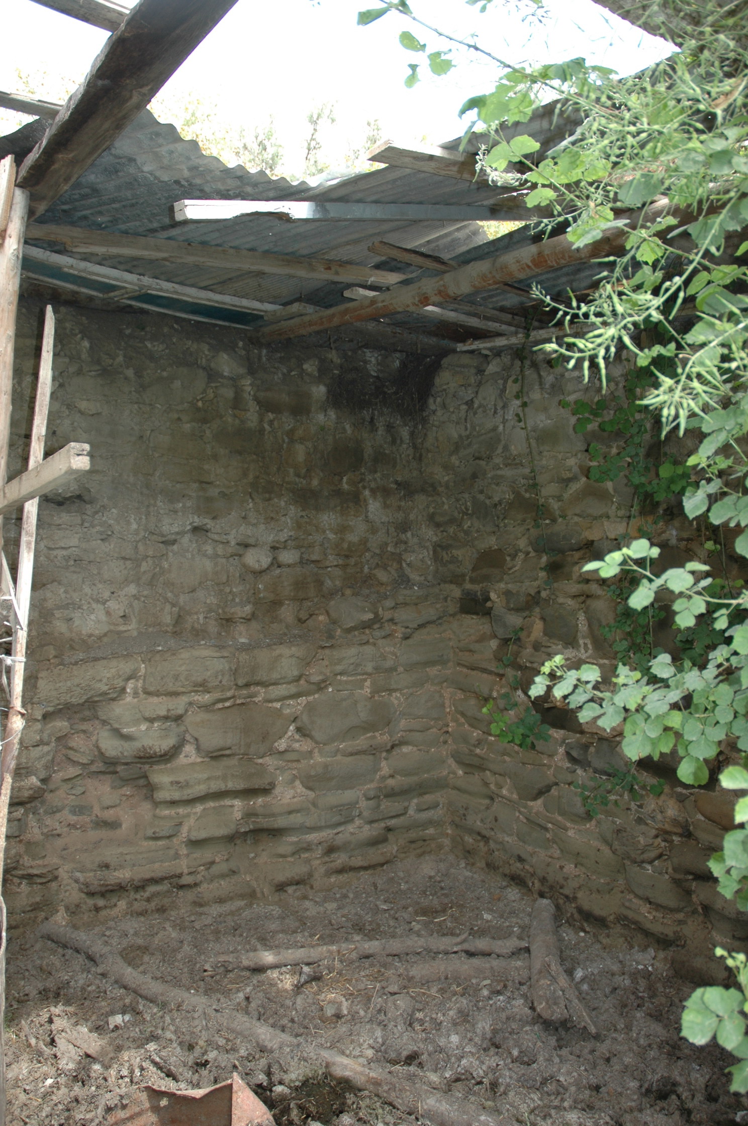 Image Description