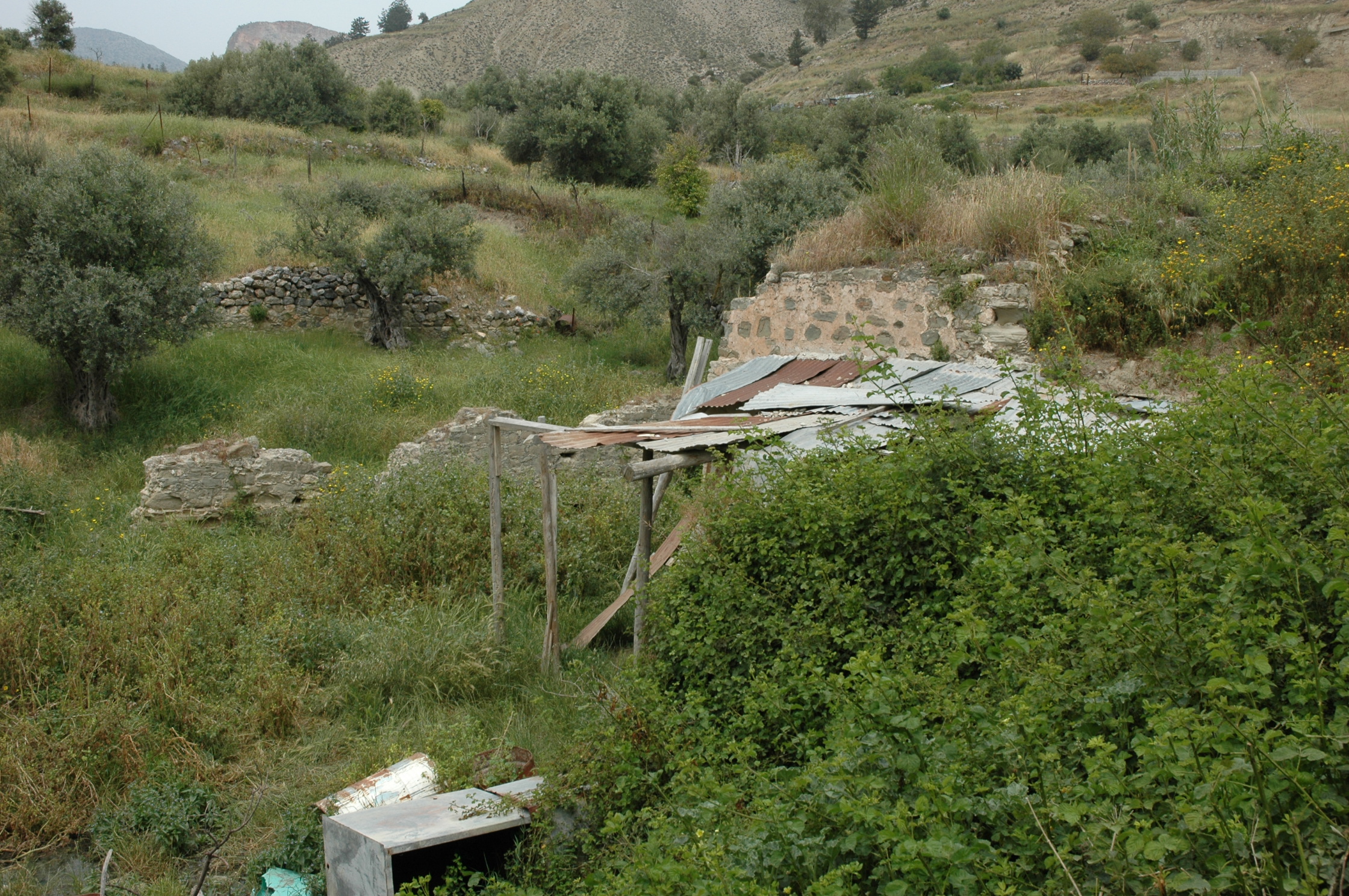Image Description