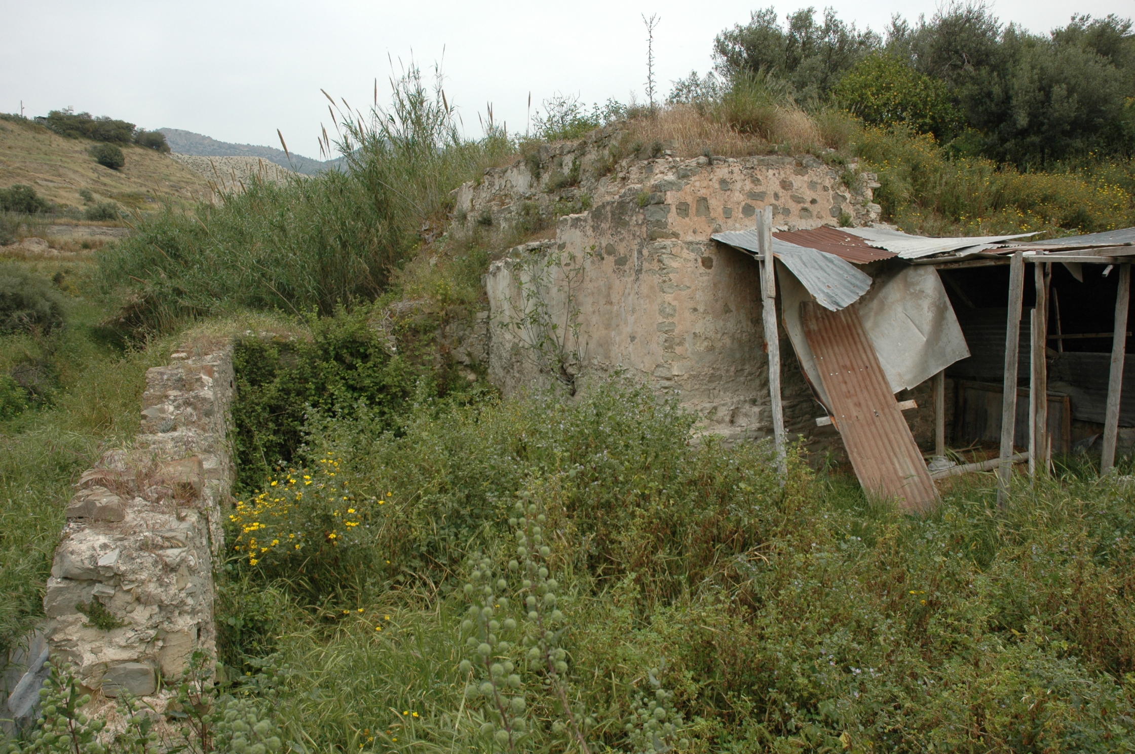 Image Description