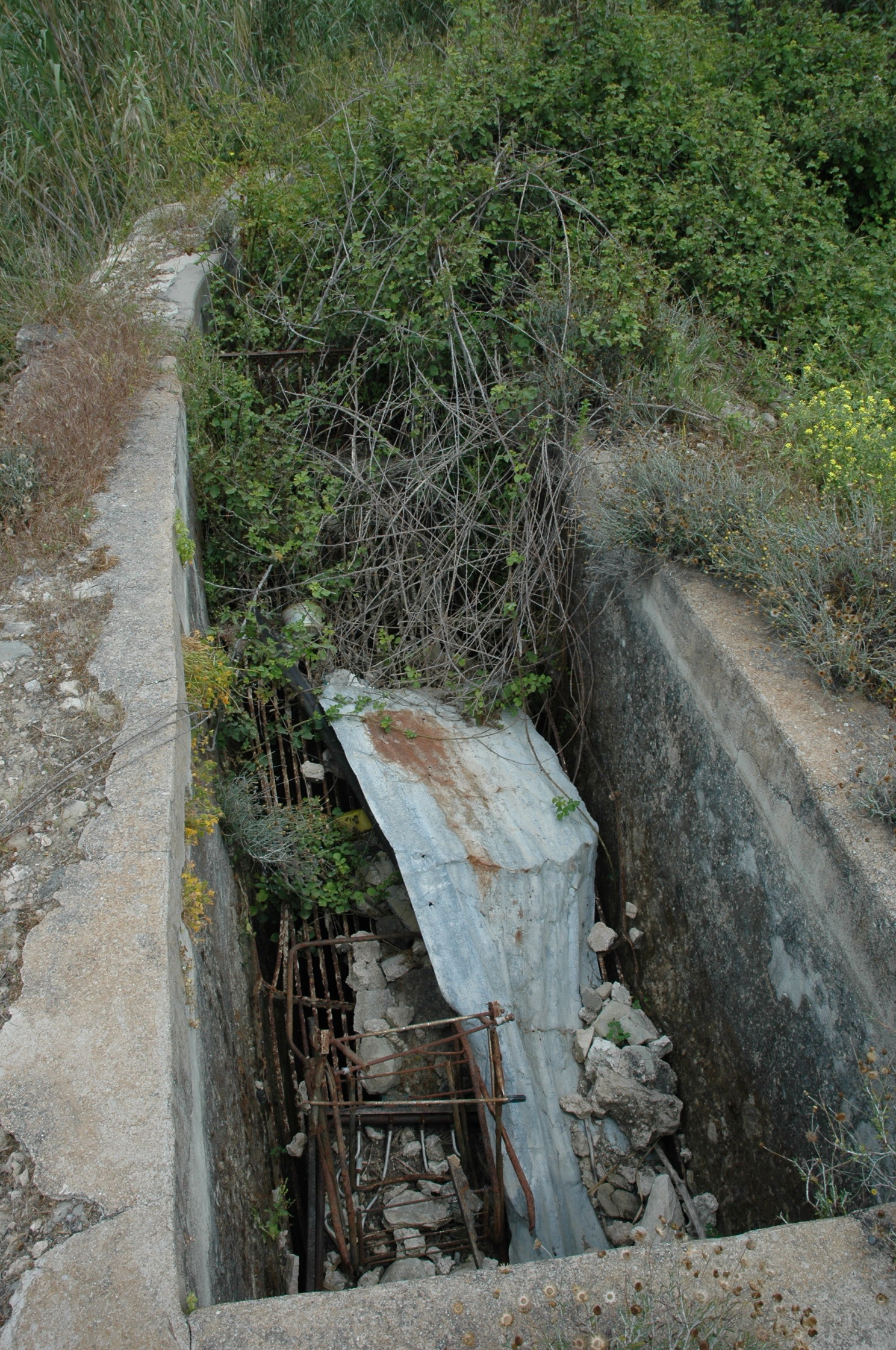 Image Description