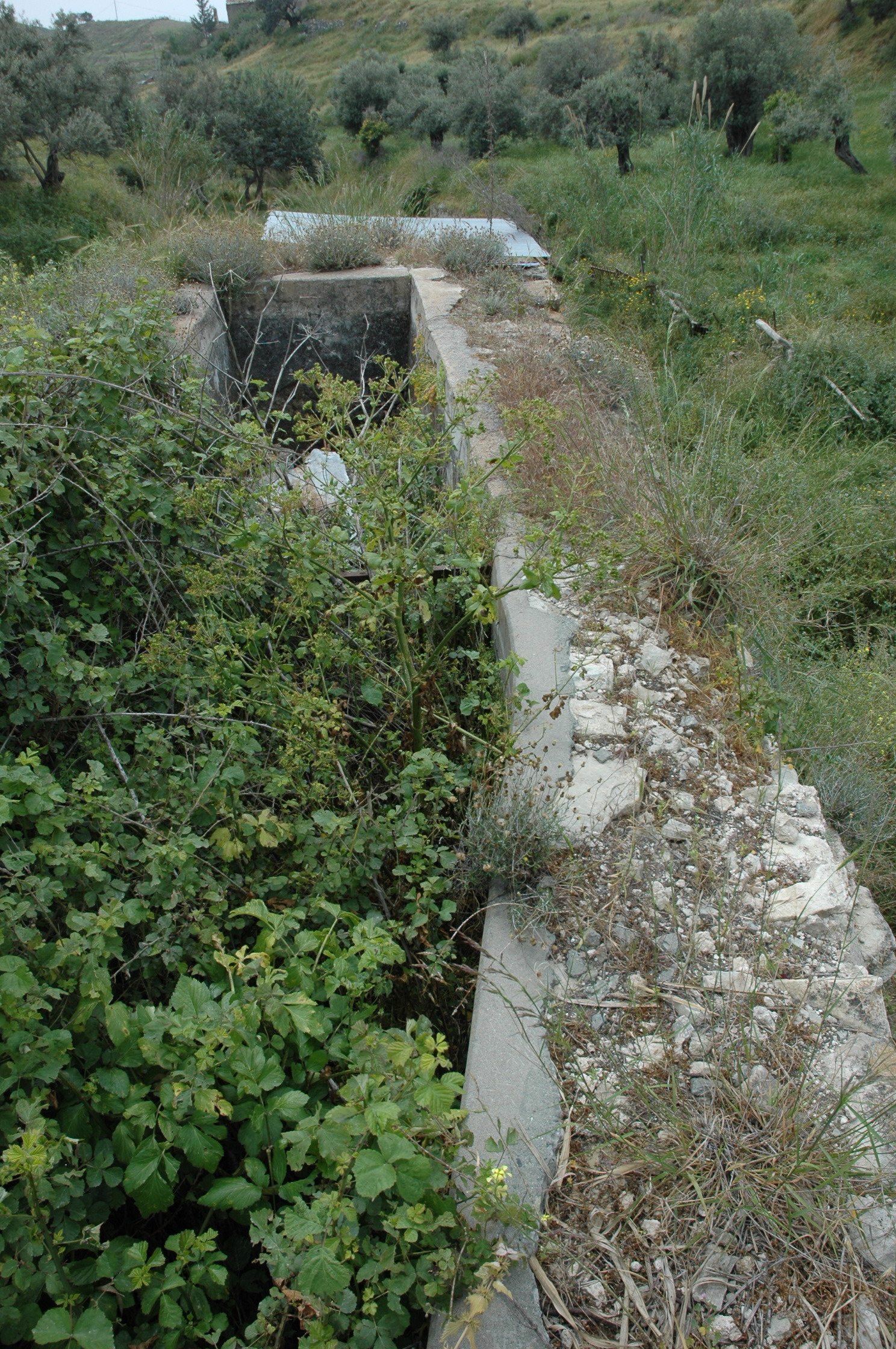 Image Description