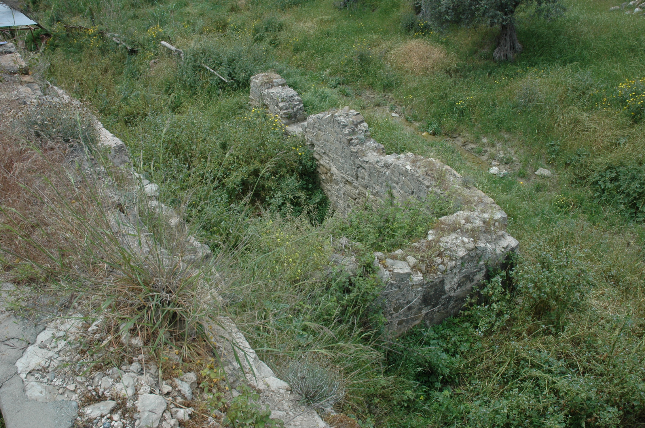 Image Description