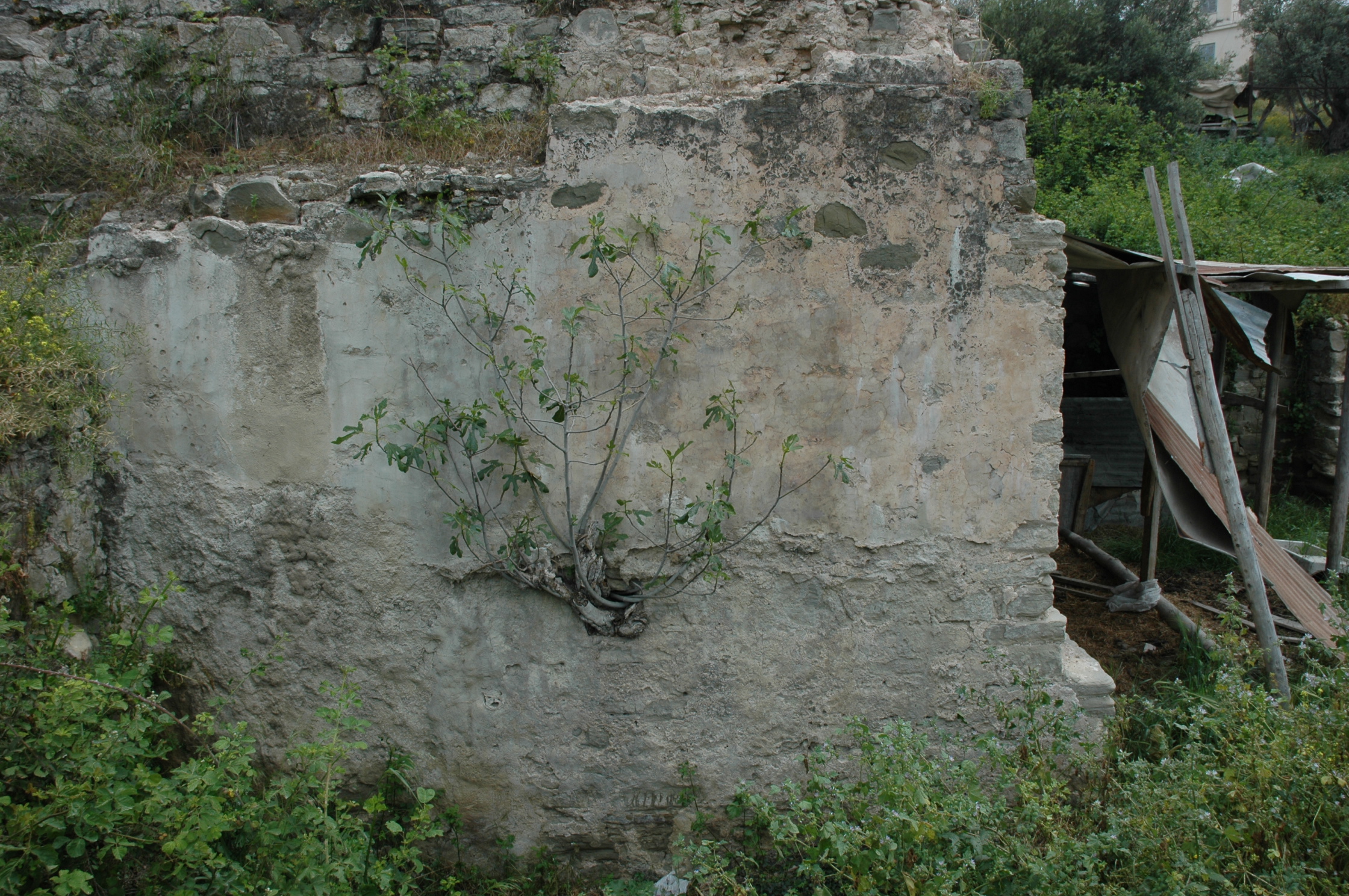 Image Description
