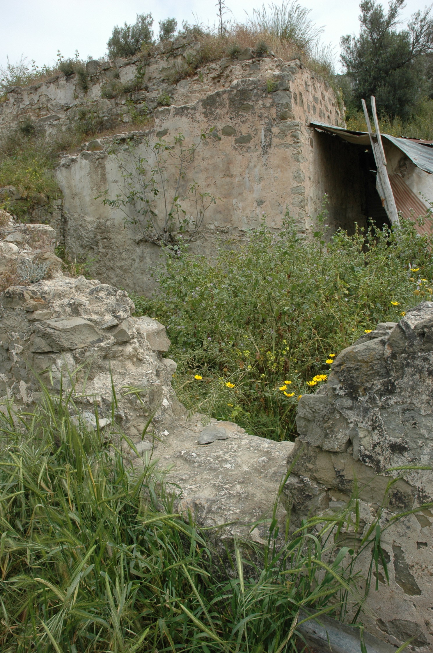 Image Description