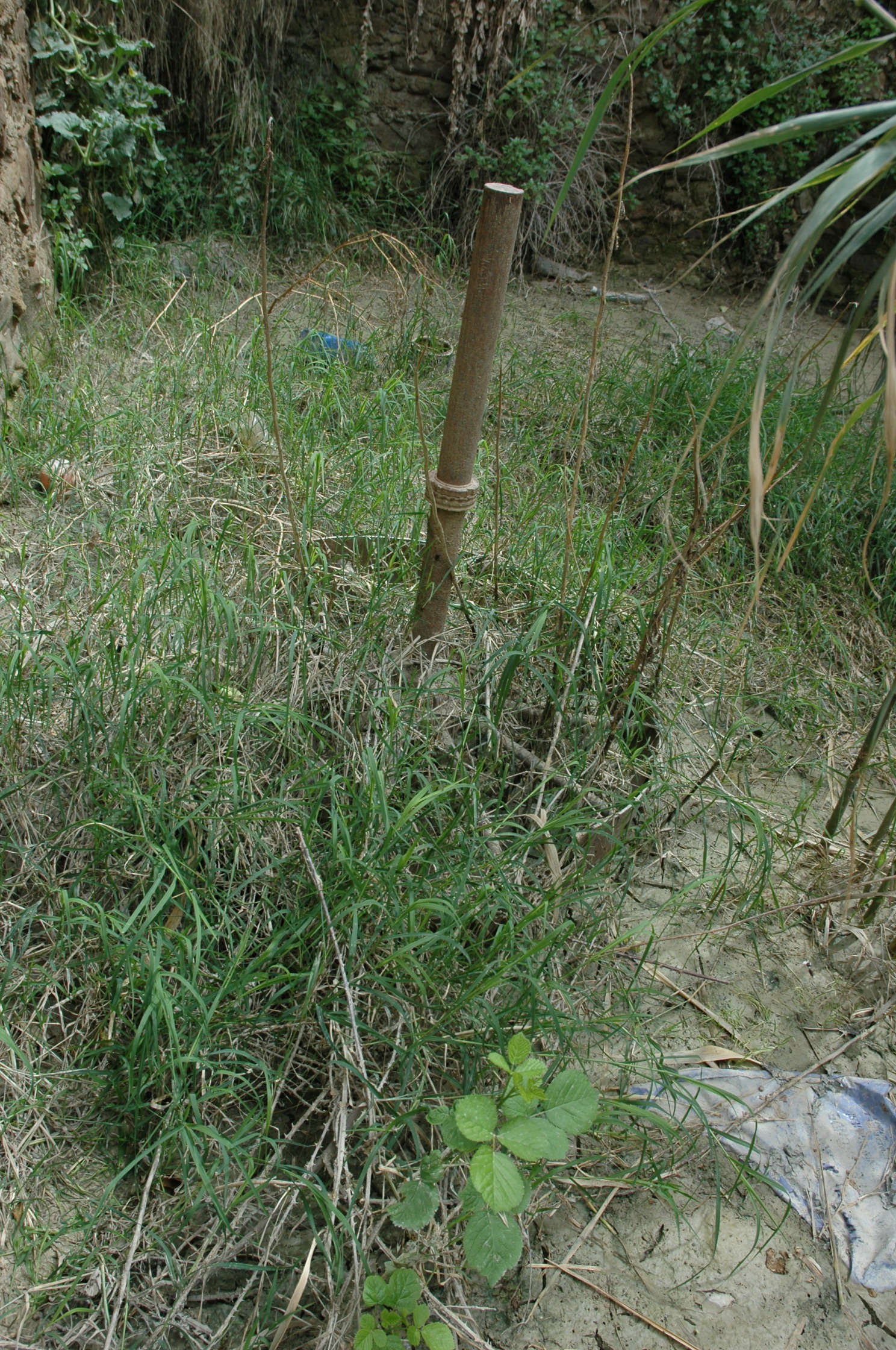 Image Description
