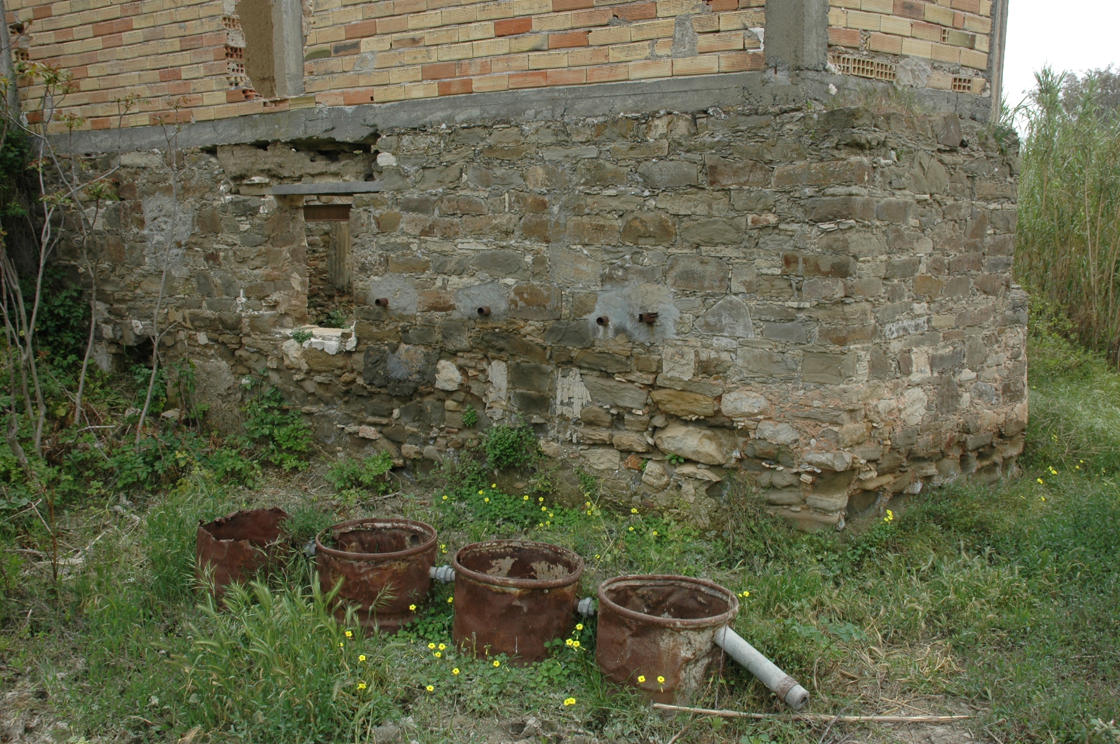 Image Description