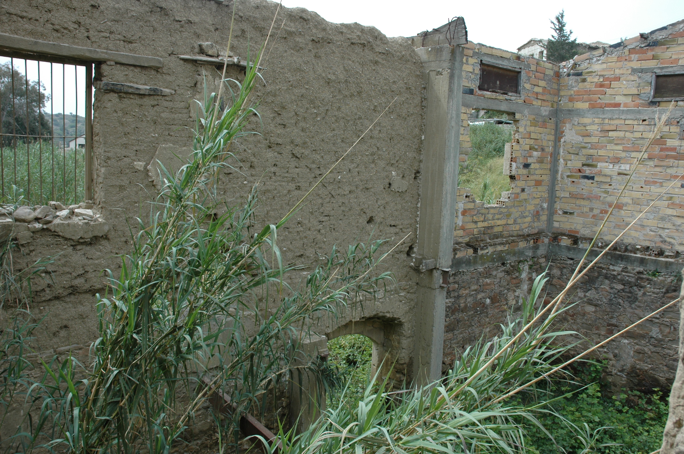 Image Description
