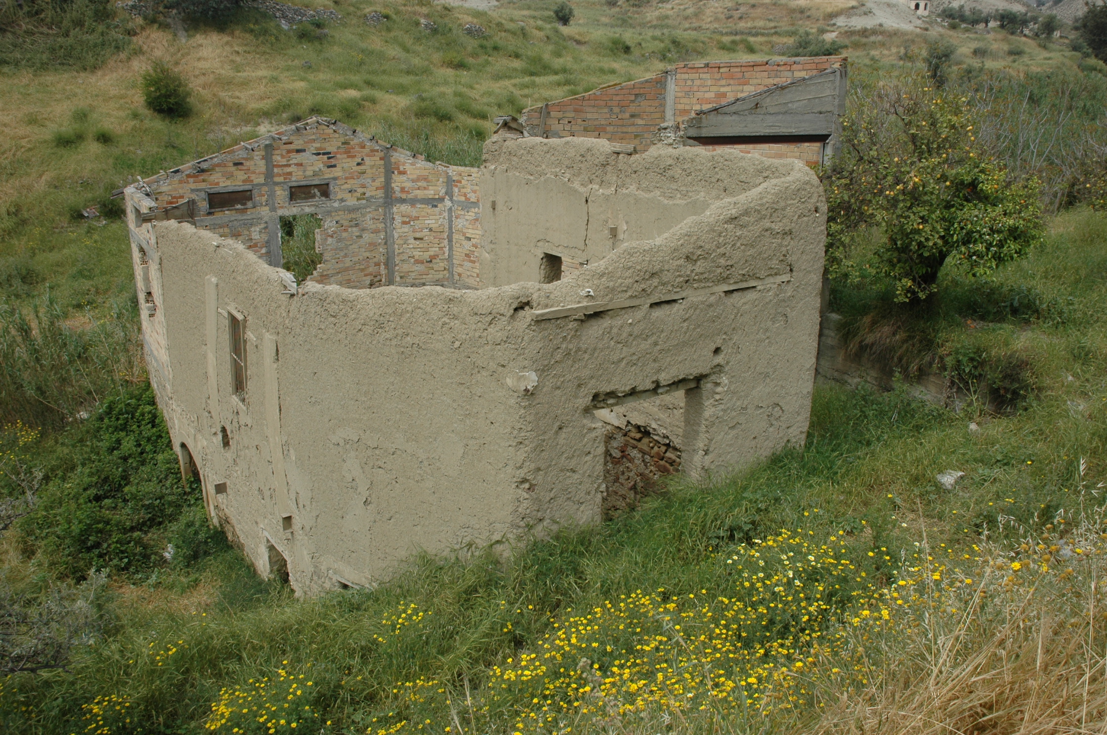 Image Description
