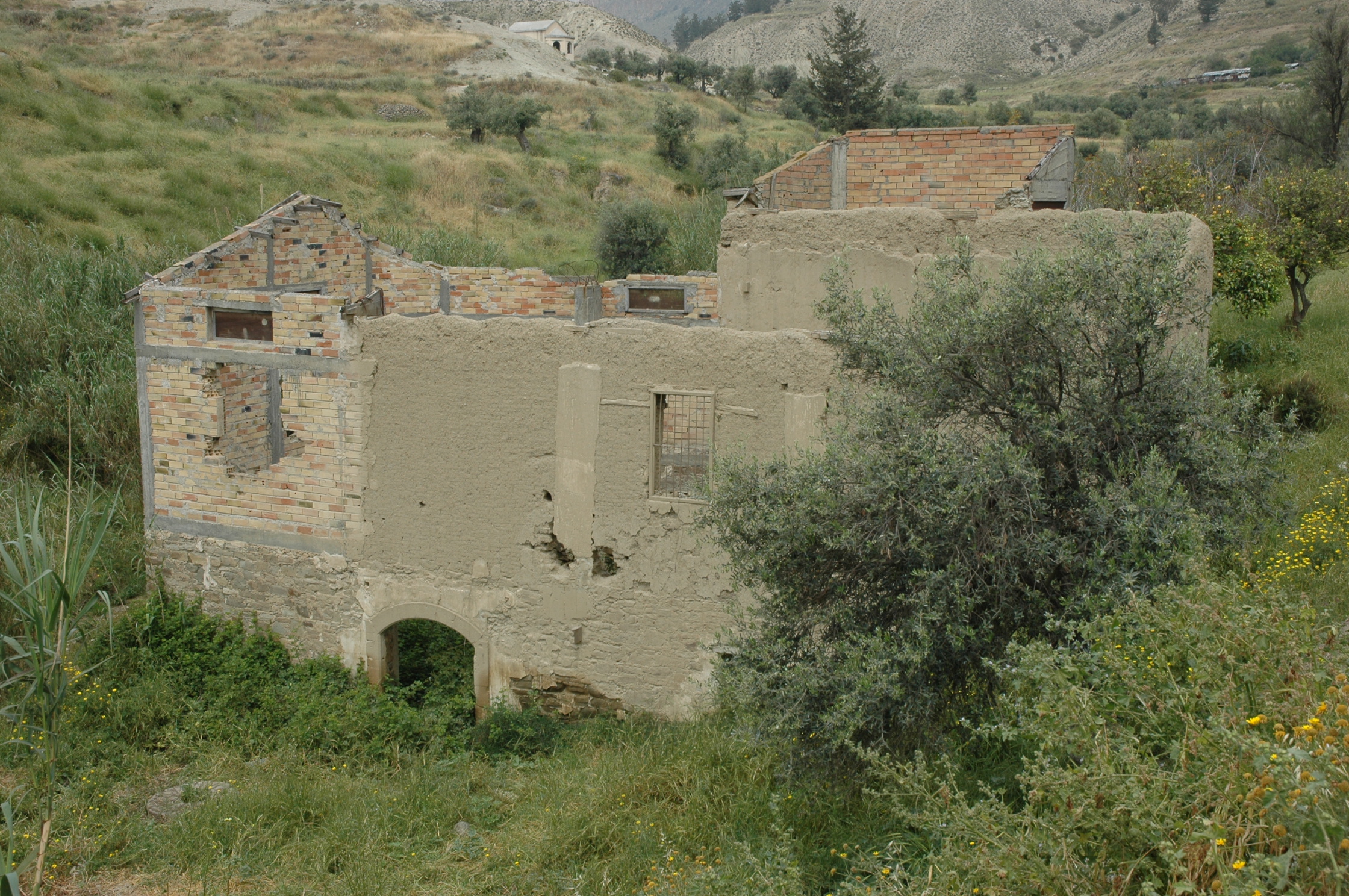 Image Description