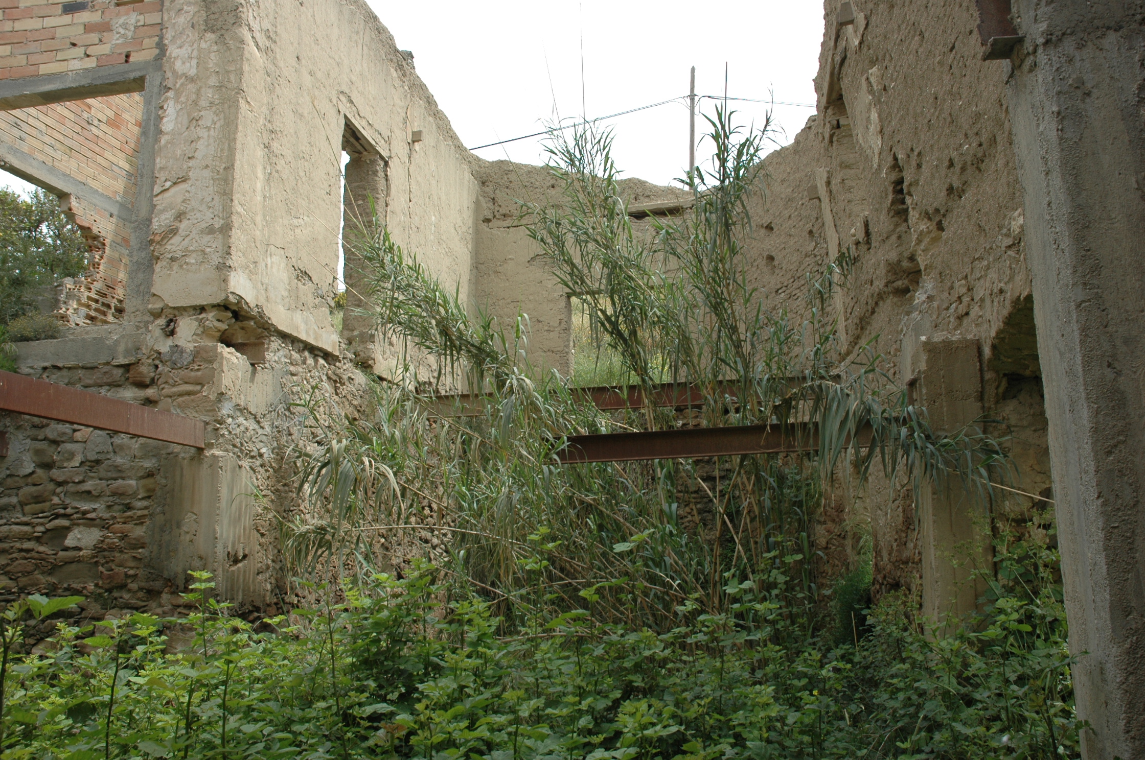Image Description