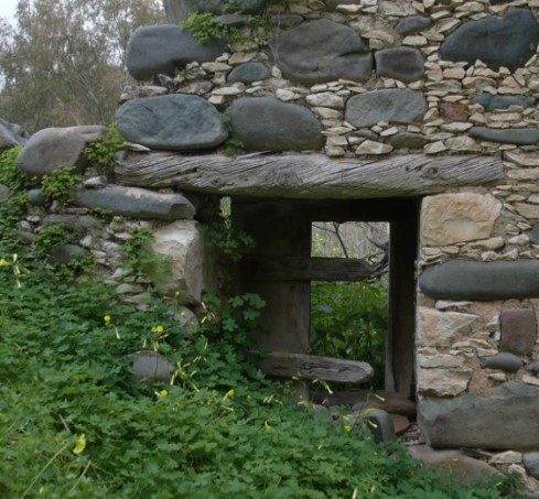 Image Description
