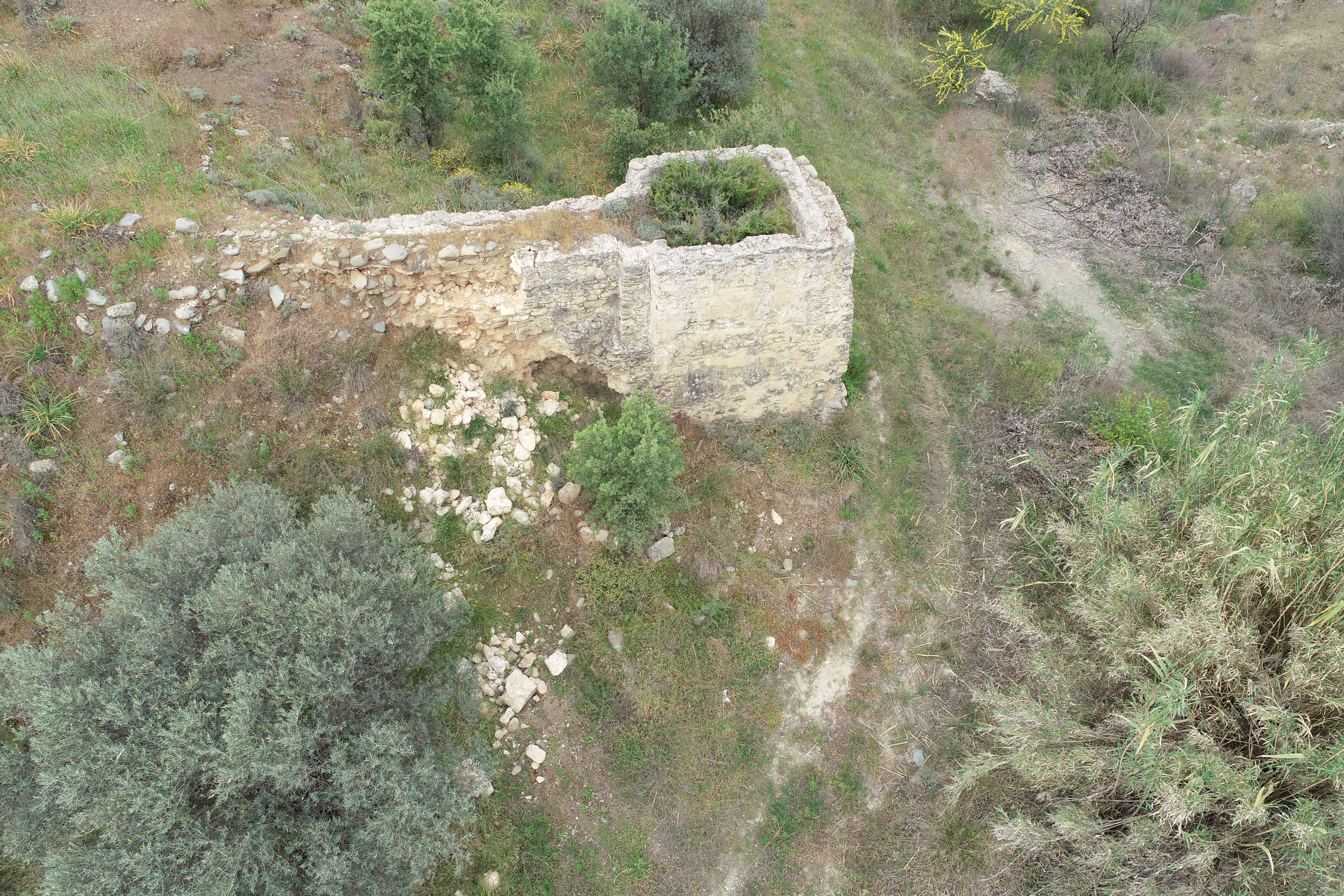 Image Description