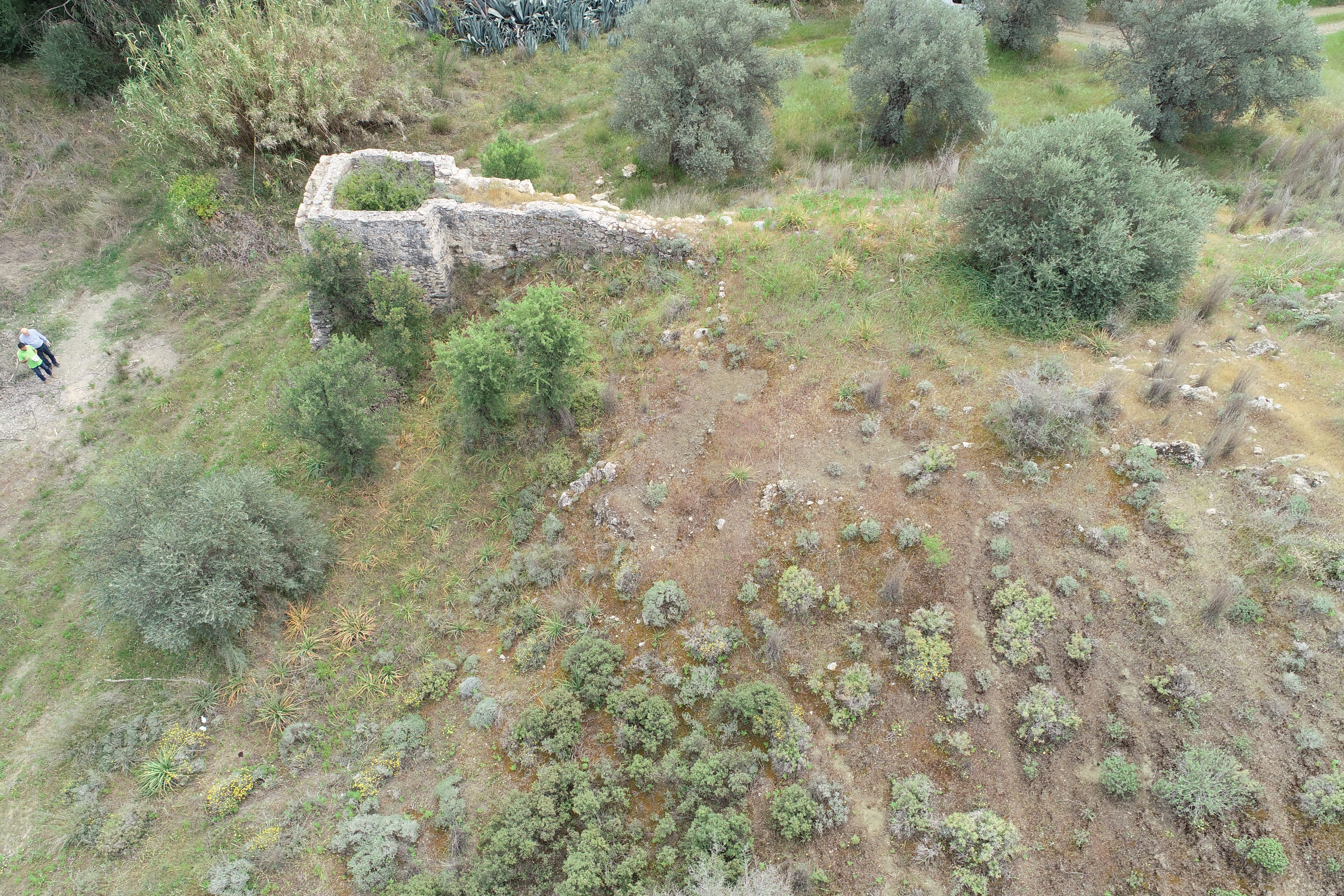 Image Description