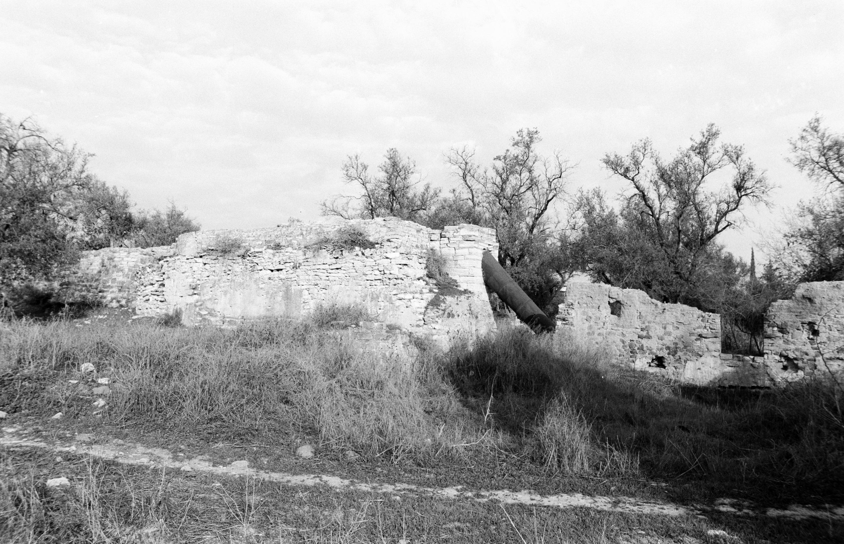 Image Description