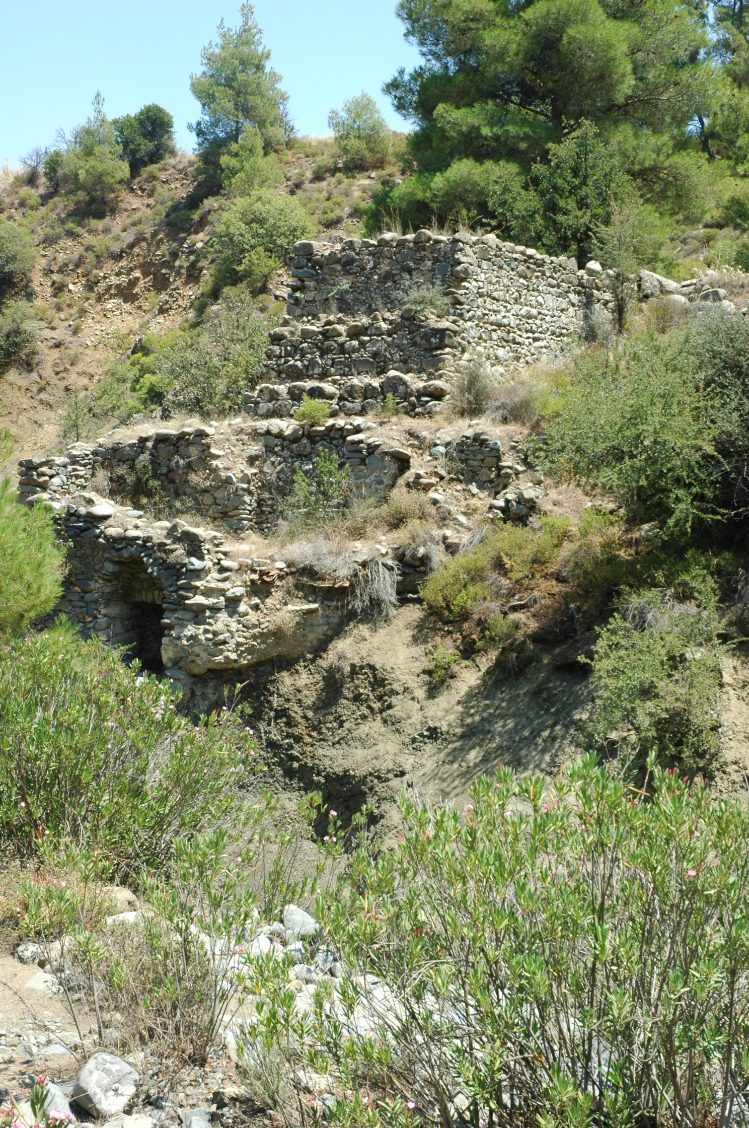 Image Description