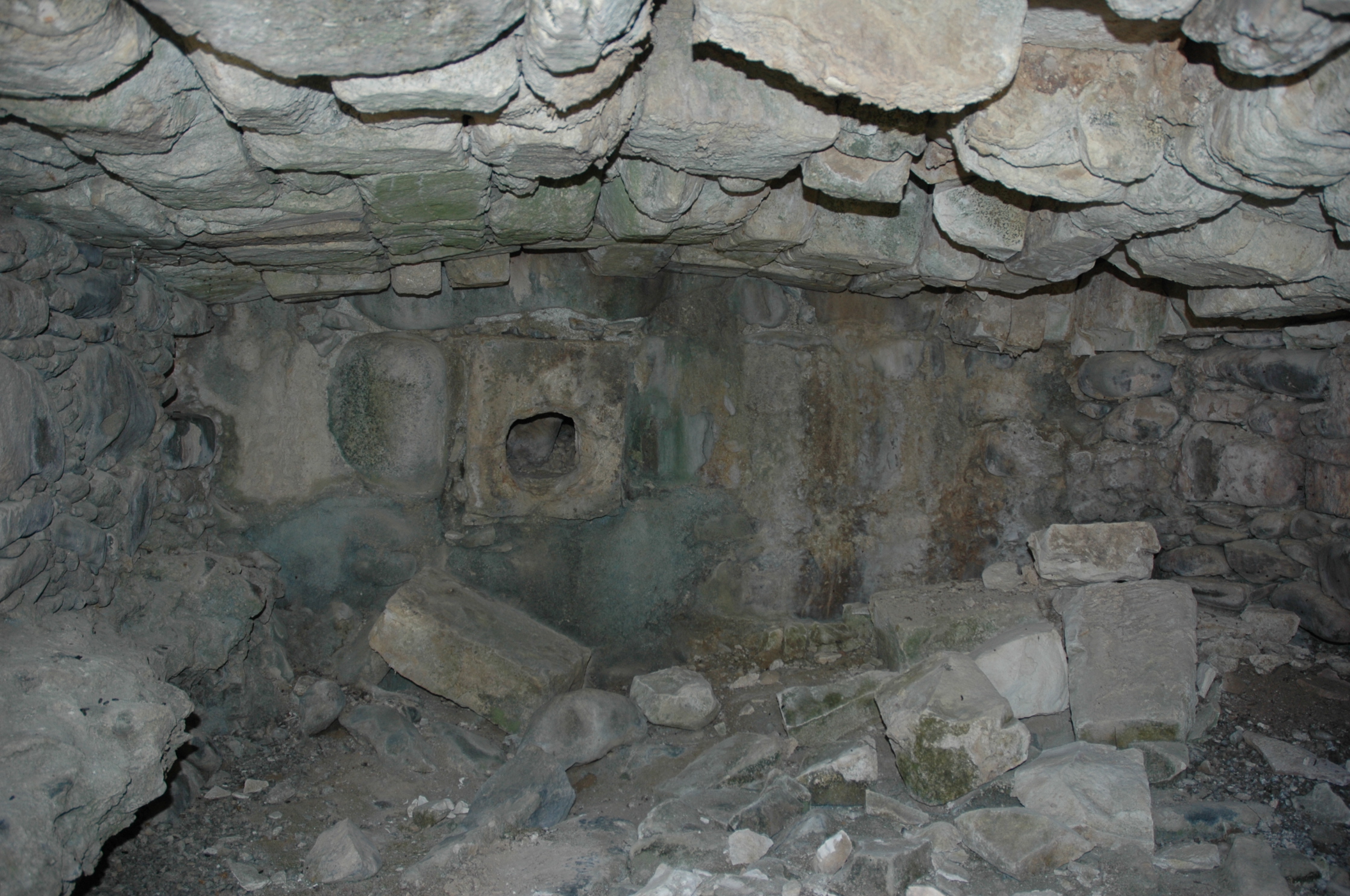 Image Description
