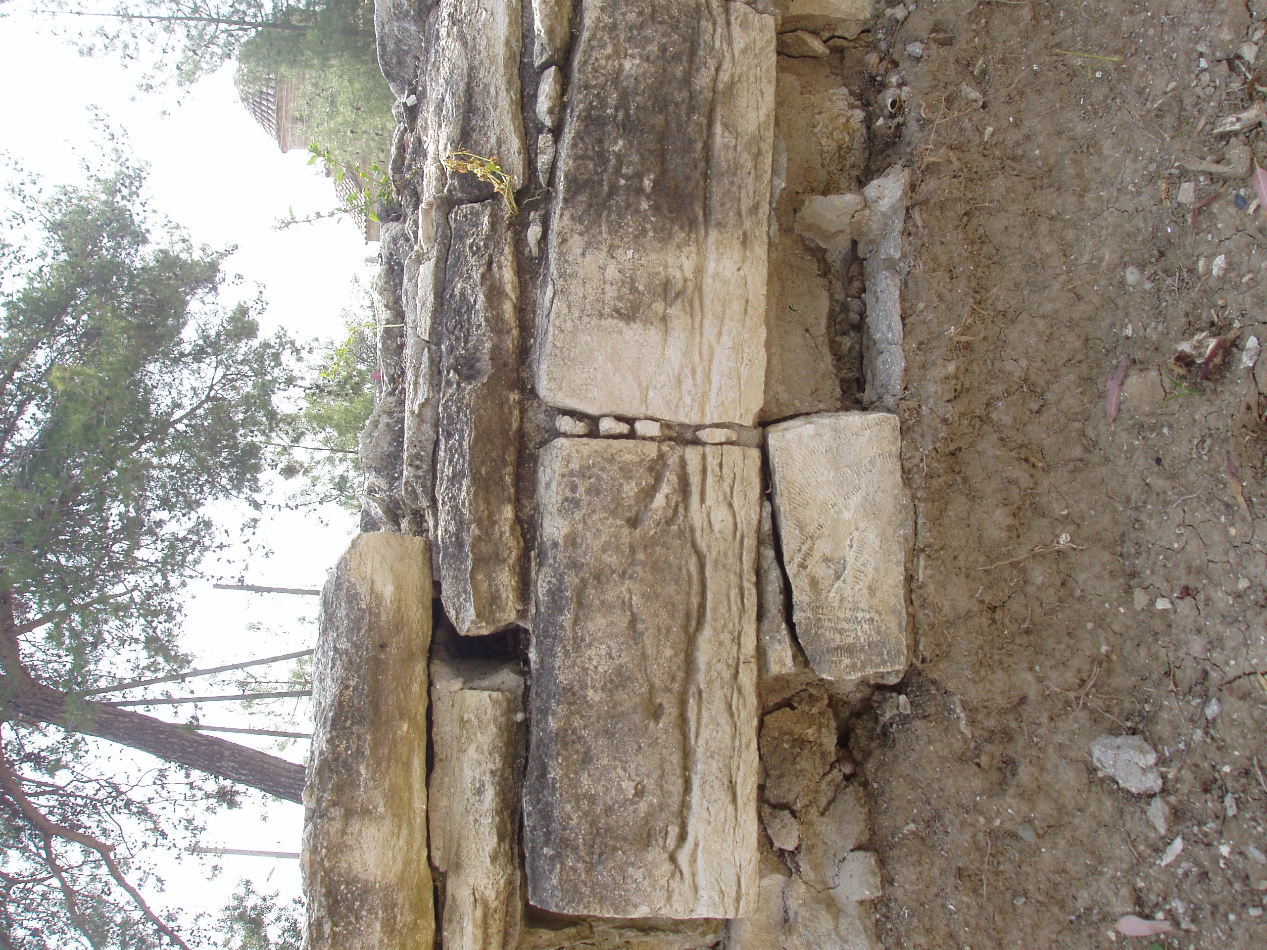 Image Description