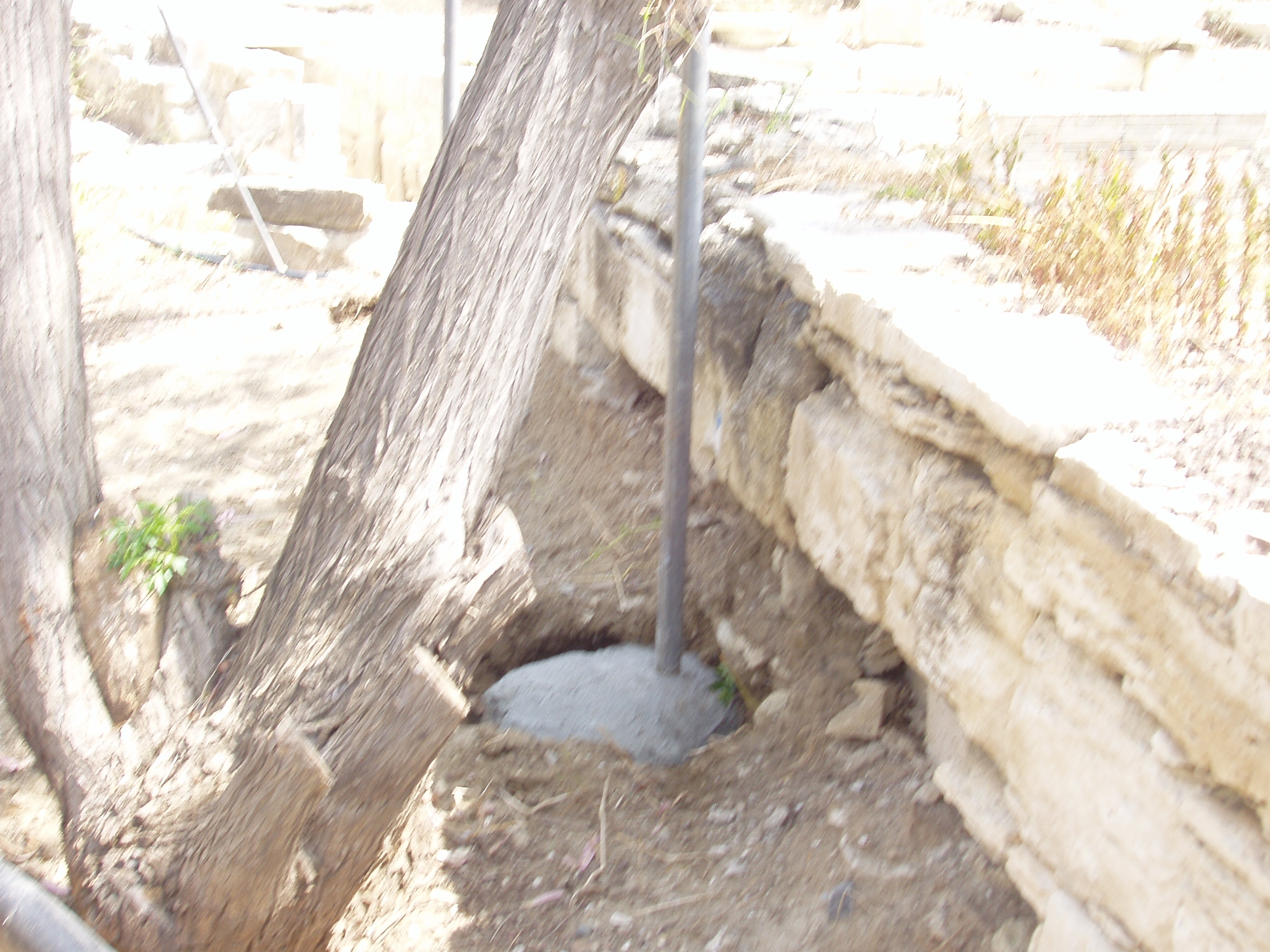Image Description