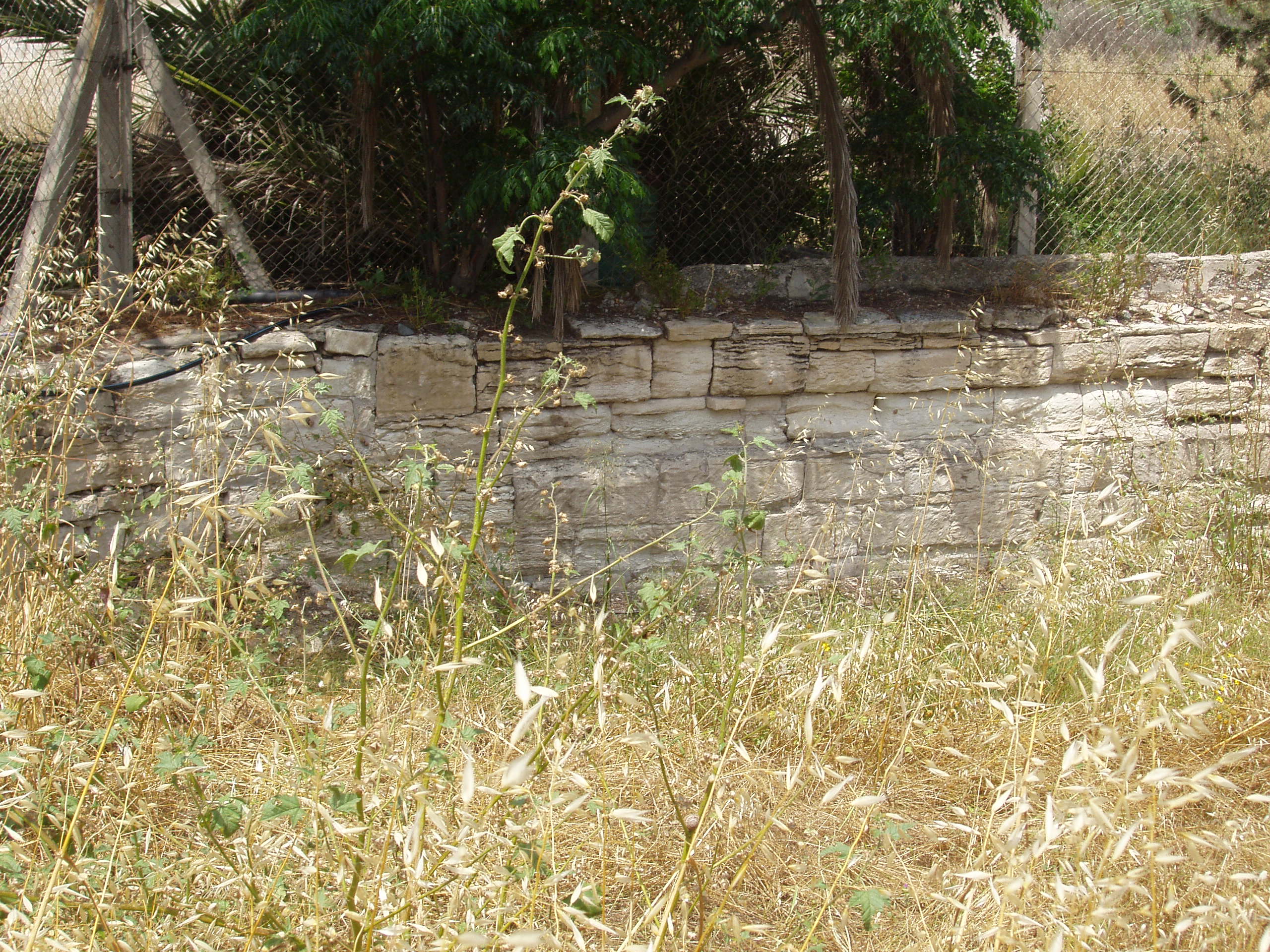 Image Description