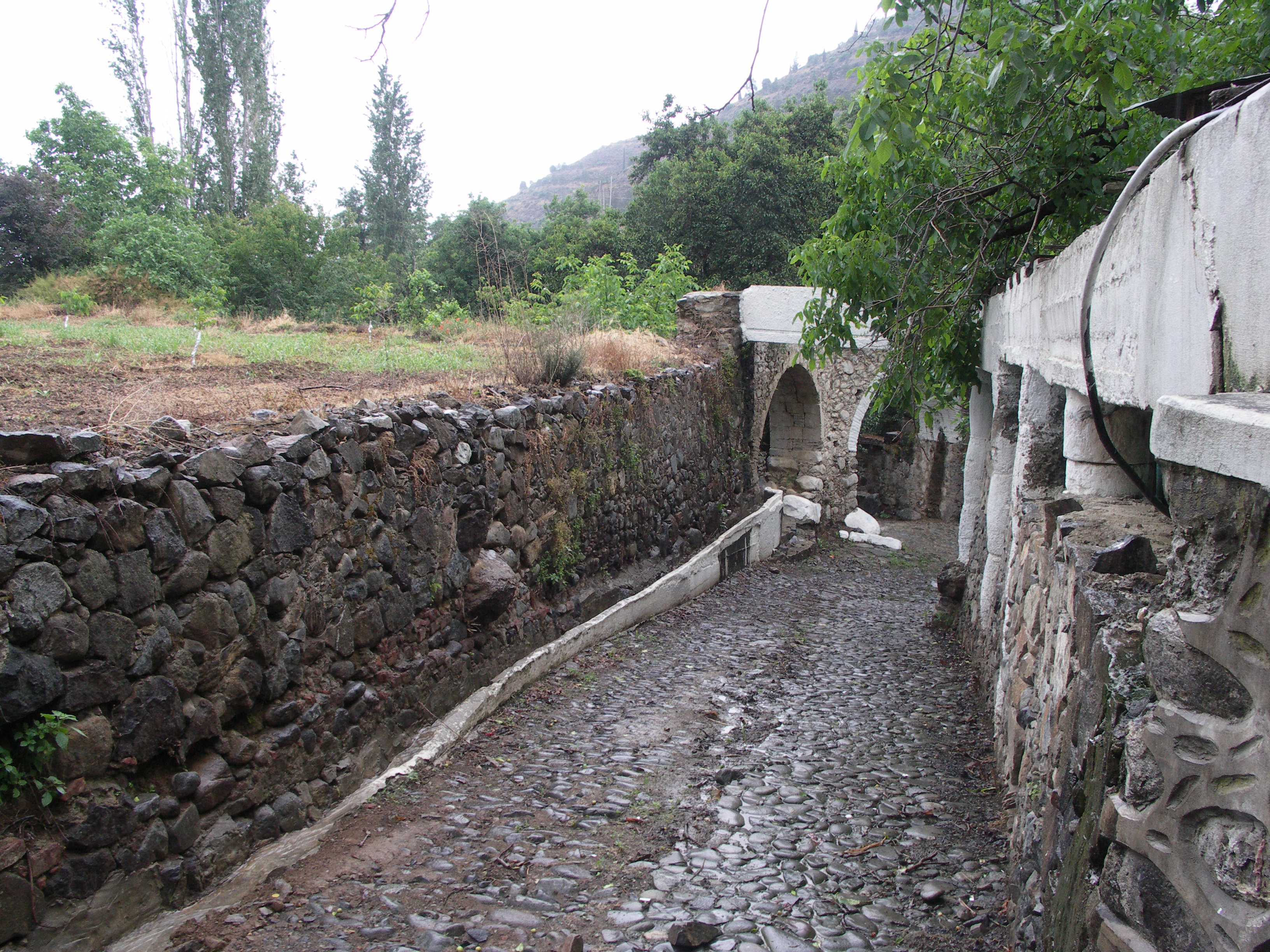 Image Description