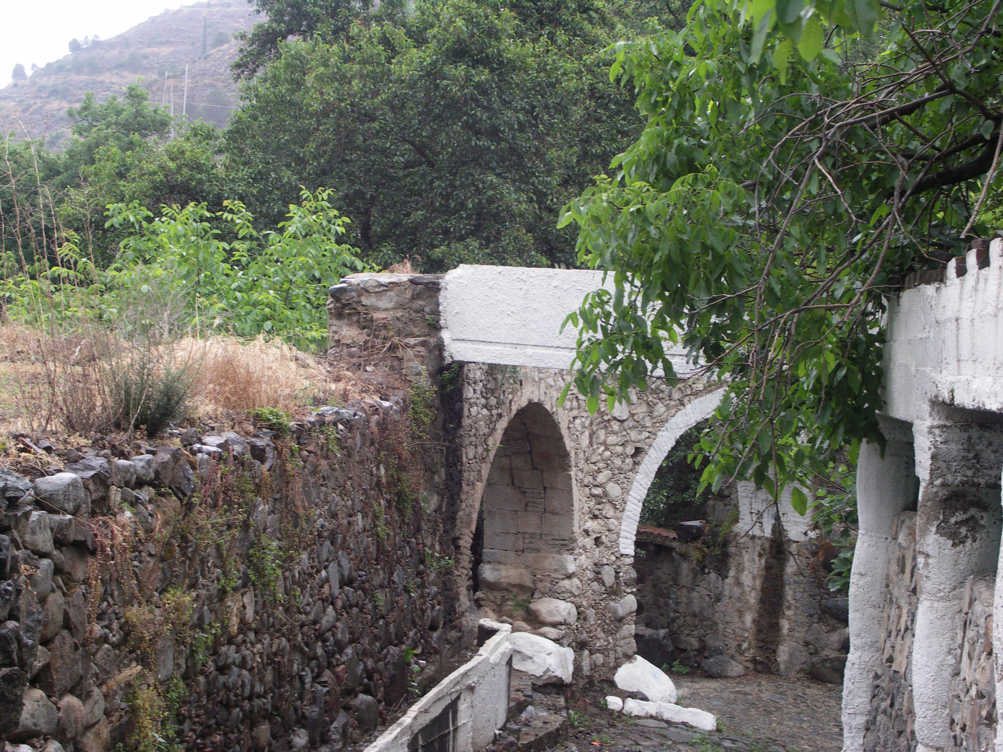 Image Description