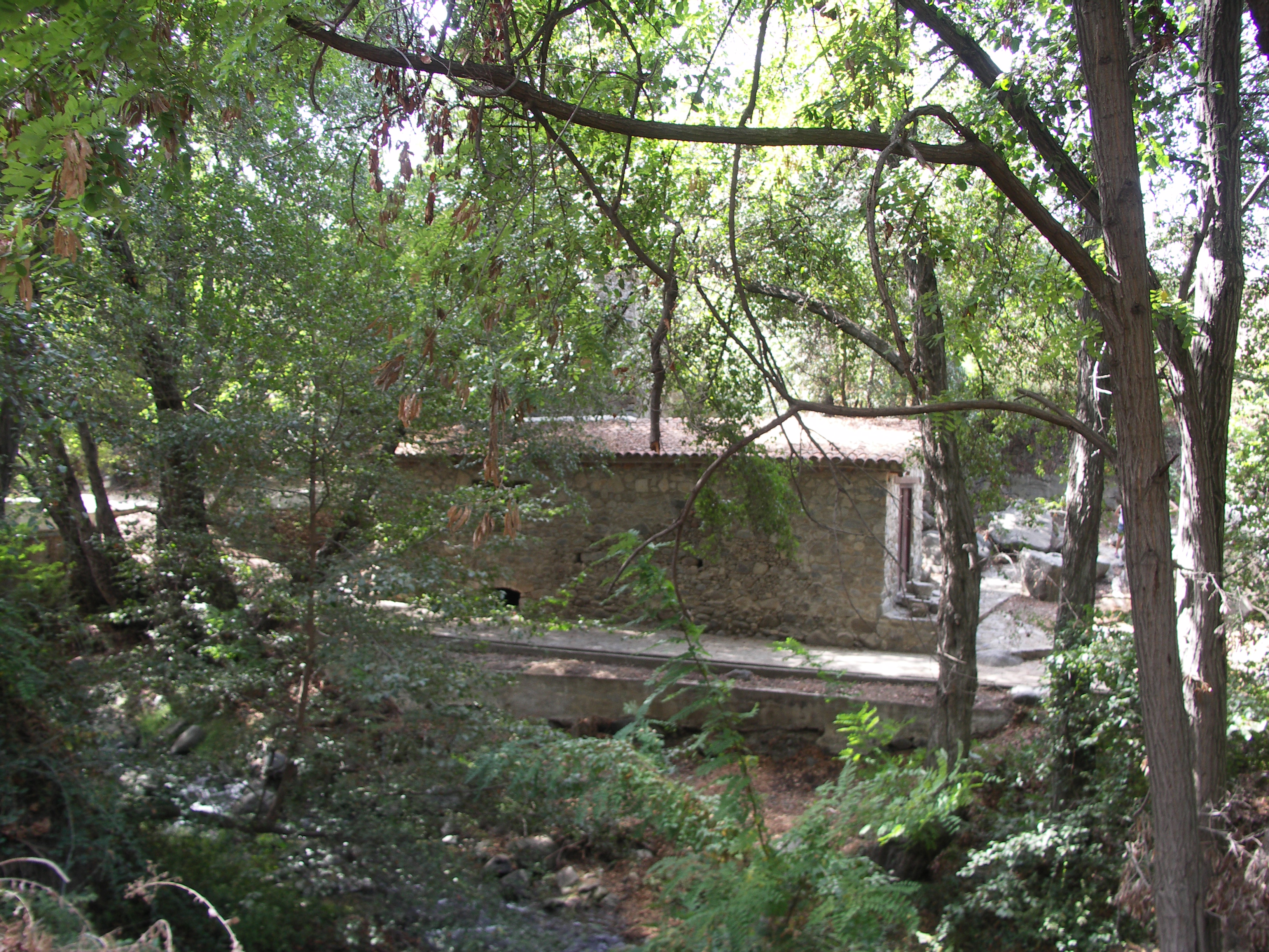 Image Description